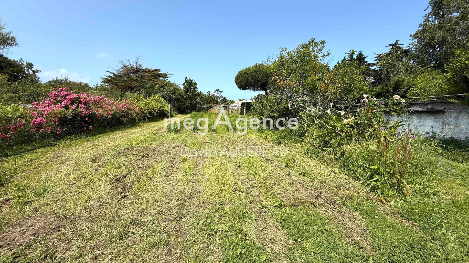 Miniature photo - 3 / 3