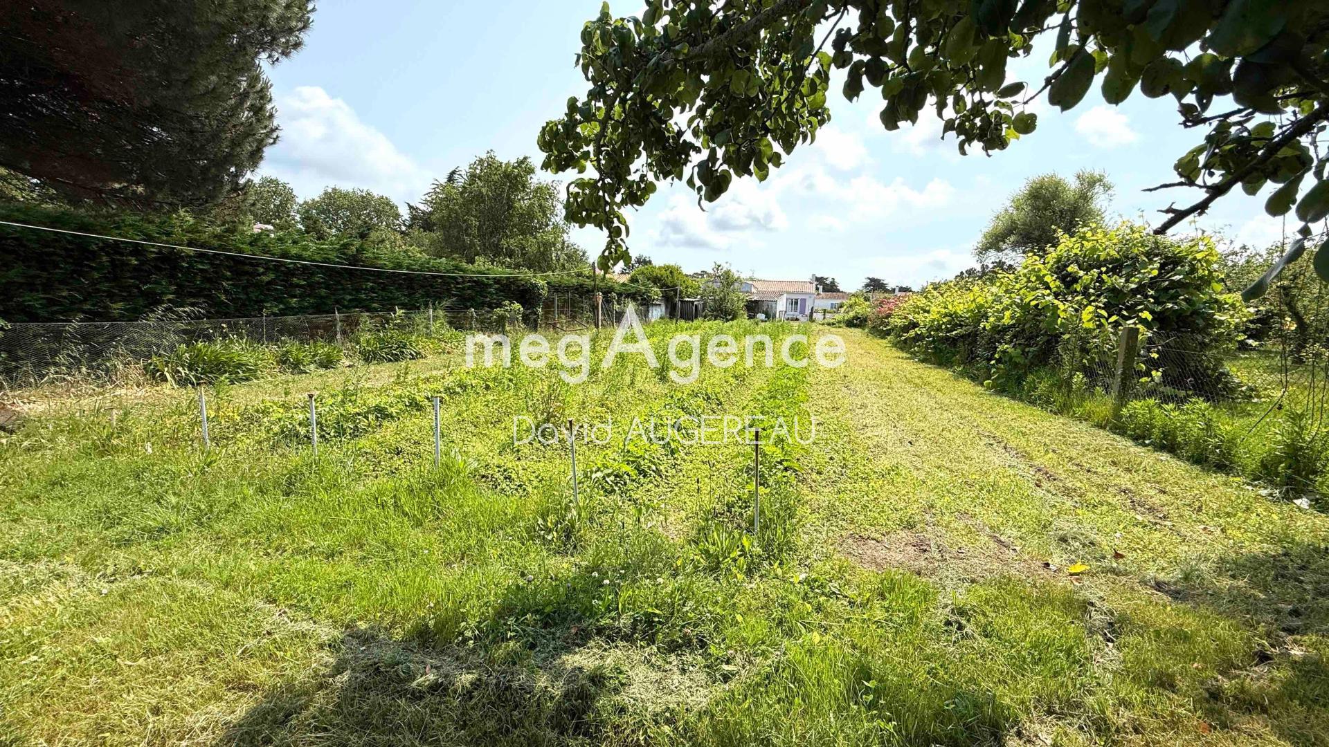 Miniature photo - 2 / 3