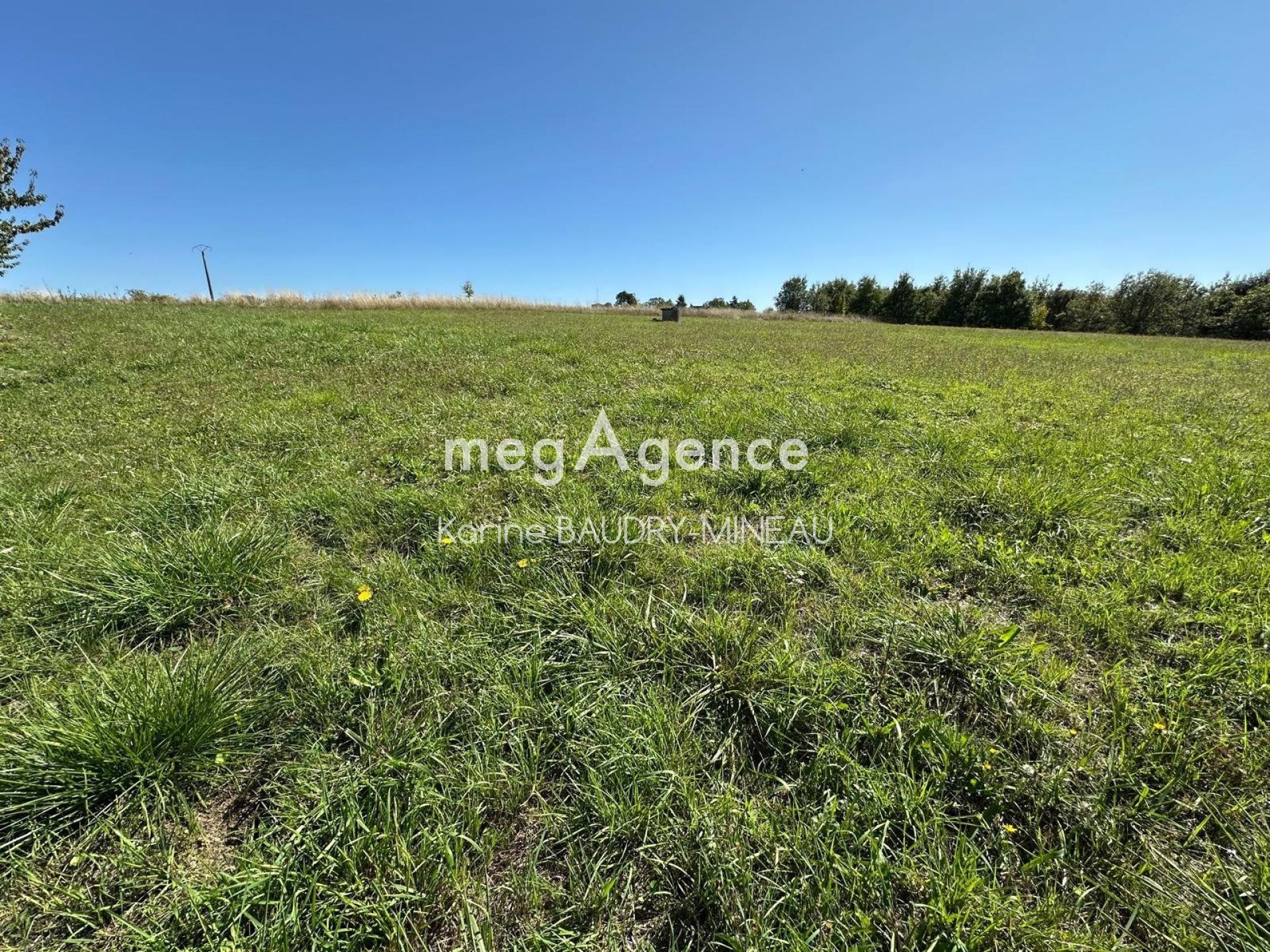 Miniature photo - 6 / 9