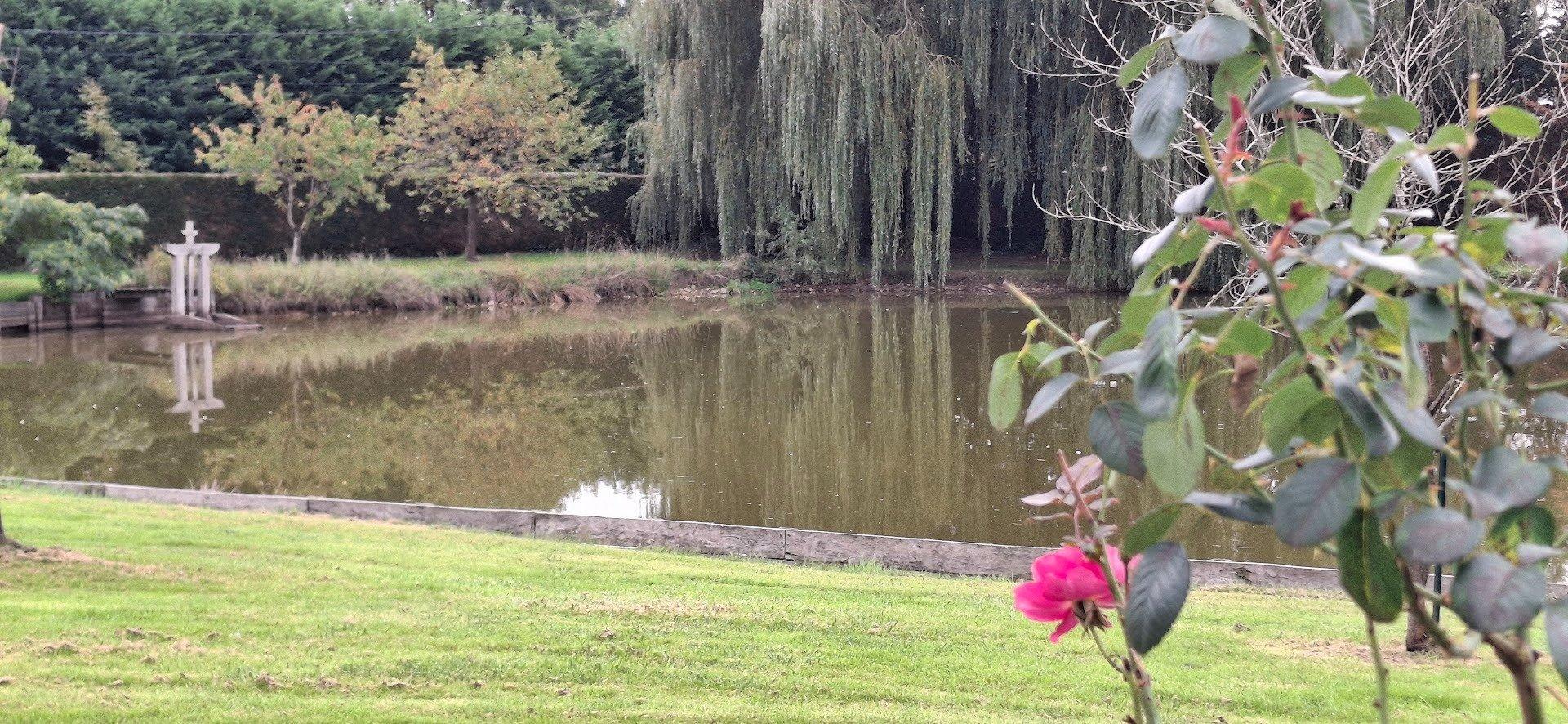 Photographie descriptive du bien