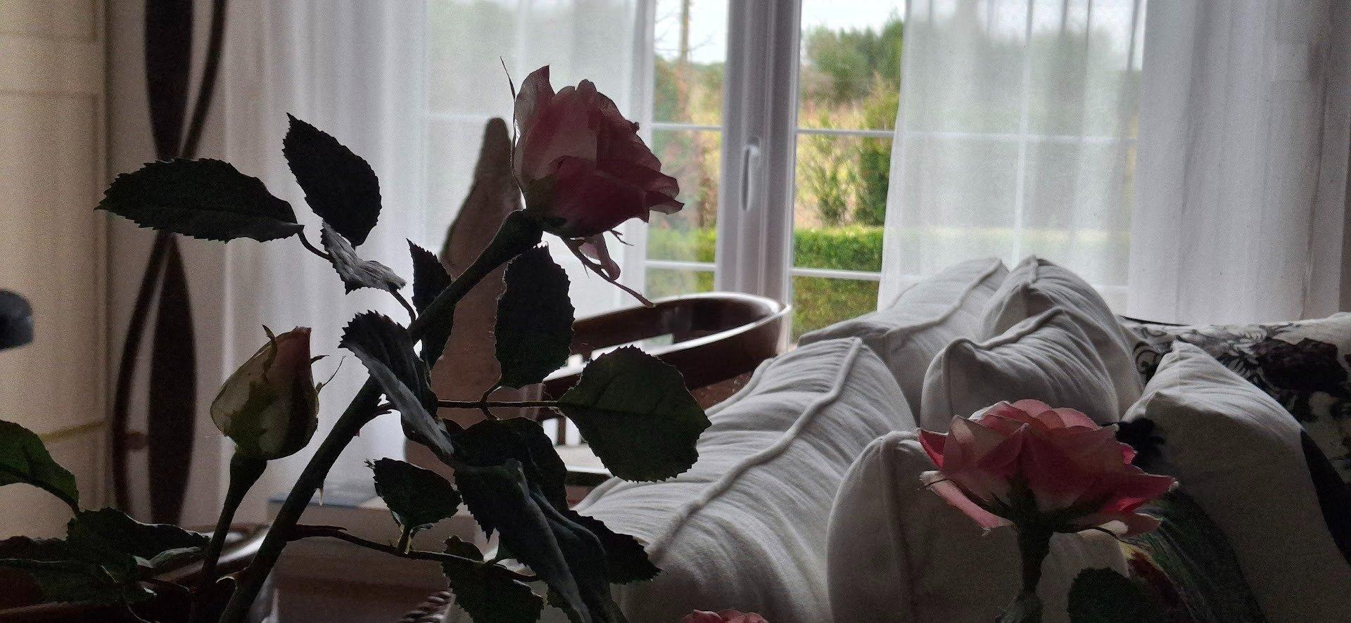 Miniature photo - 6 / 10