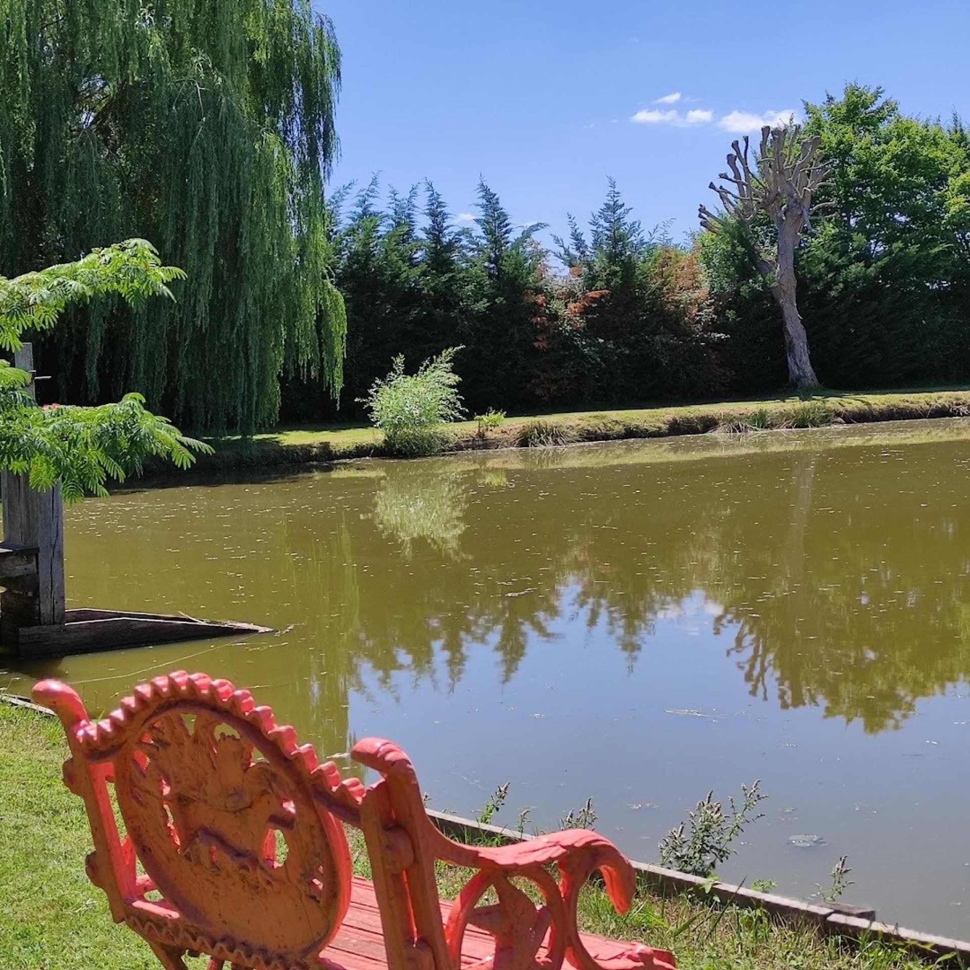 Miniature photo - 4 / 10