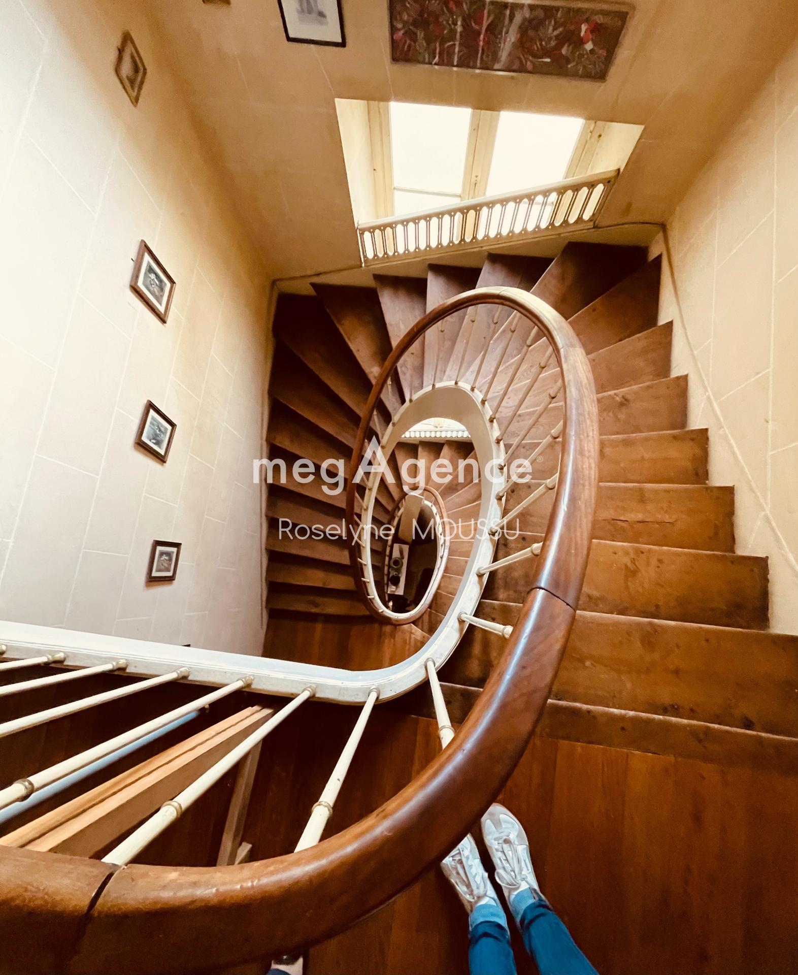 Miniature photo - 4 / 11