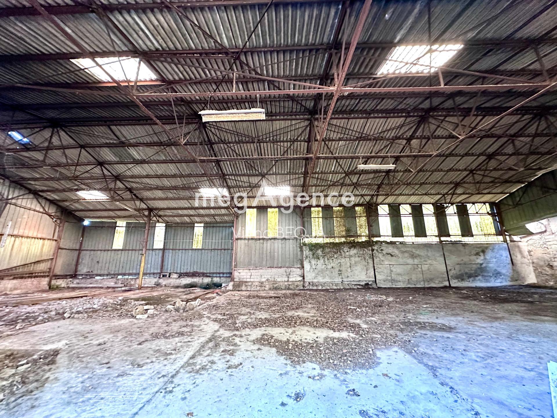 Miniature photo - 3 / 8