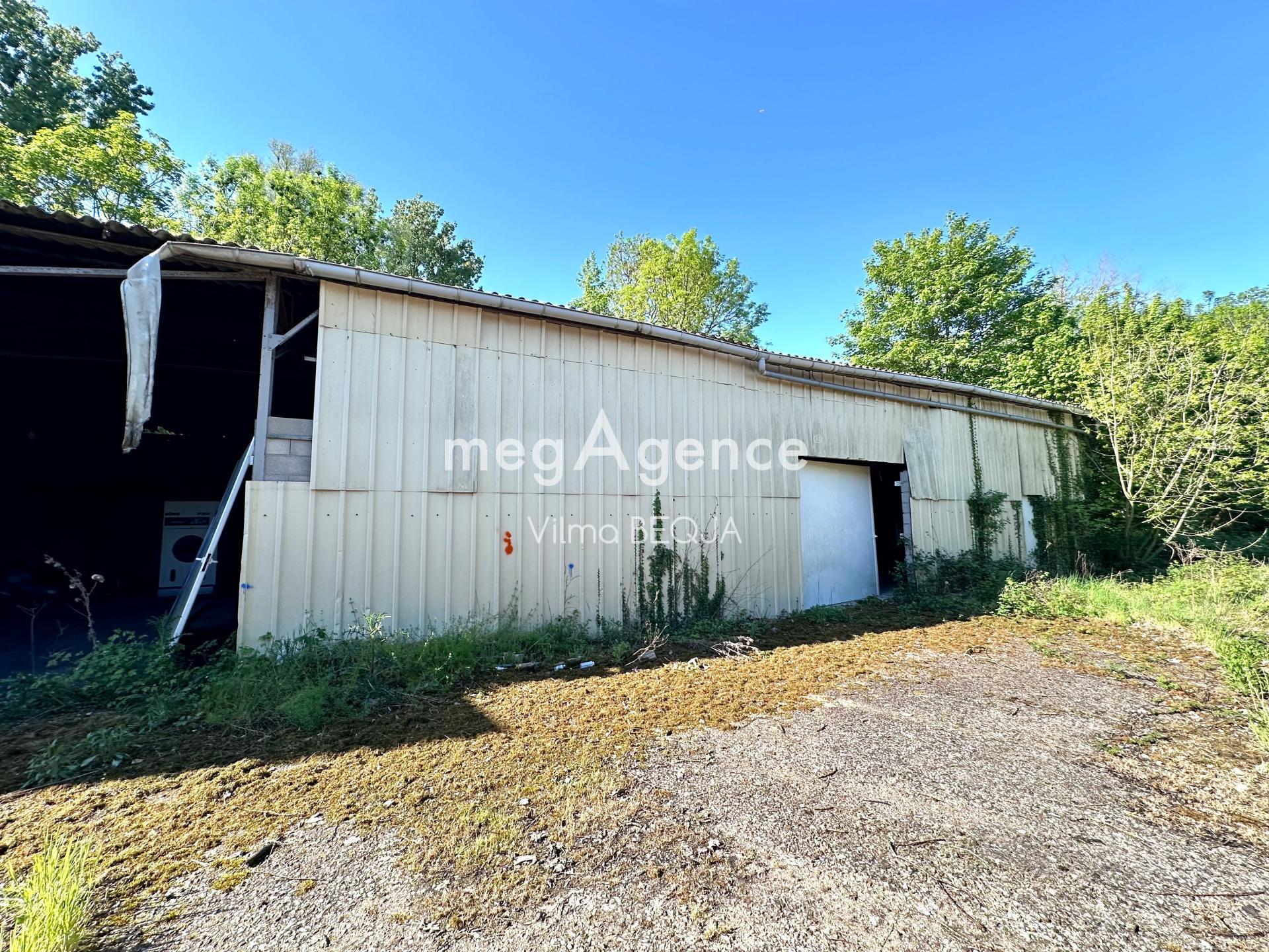 Miniature photo - 8 / 8