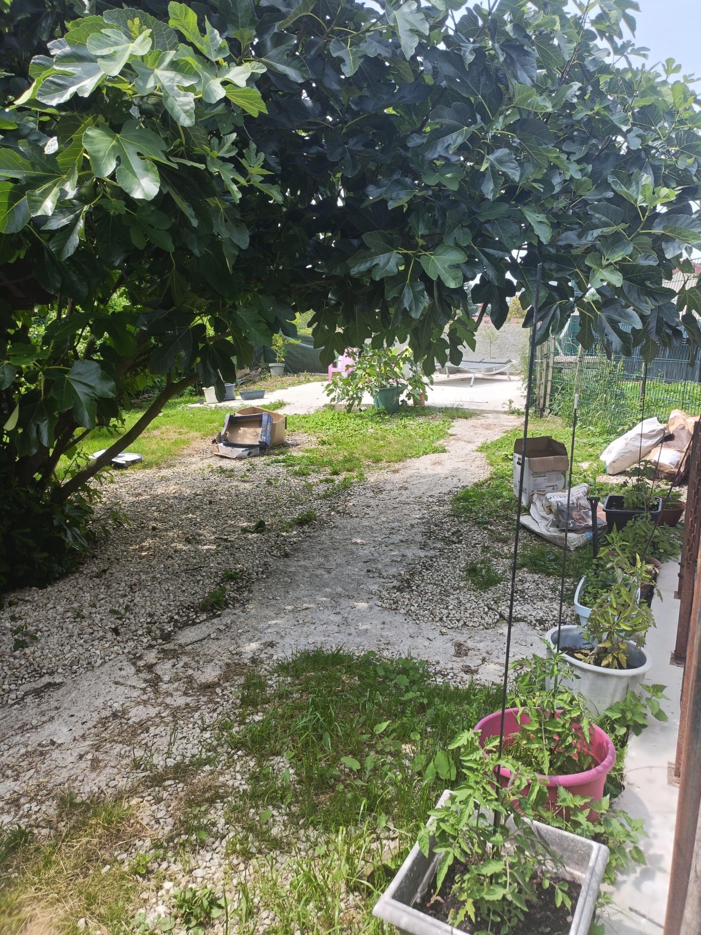 Miniature photo - 8 / 8