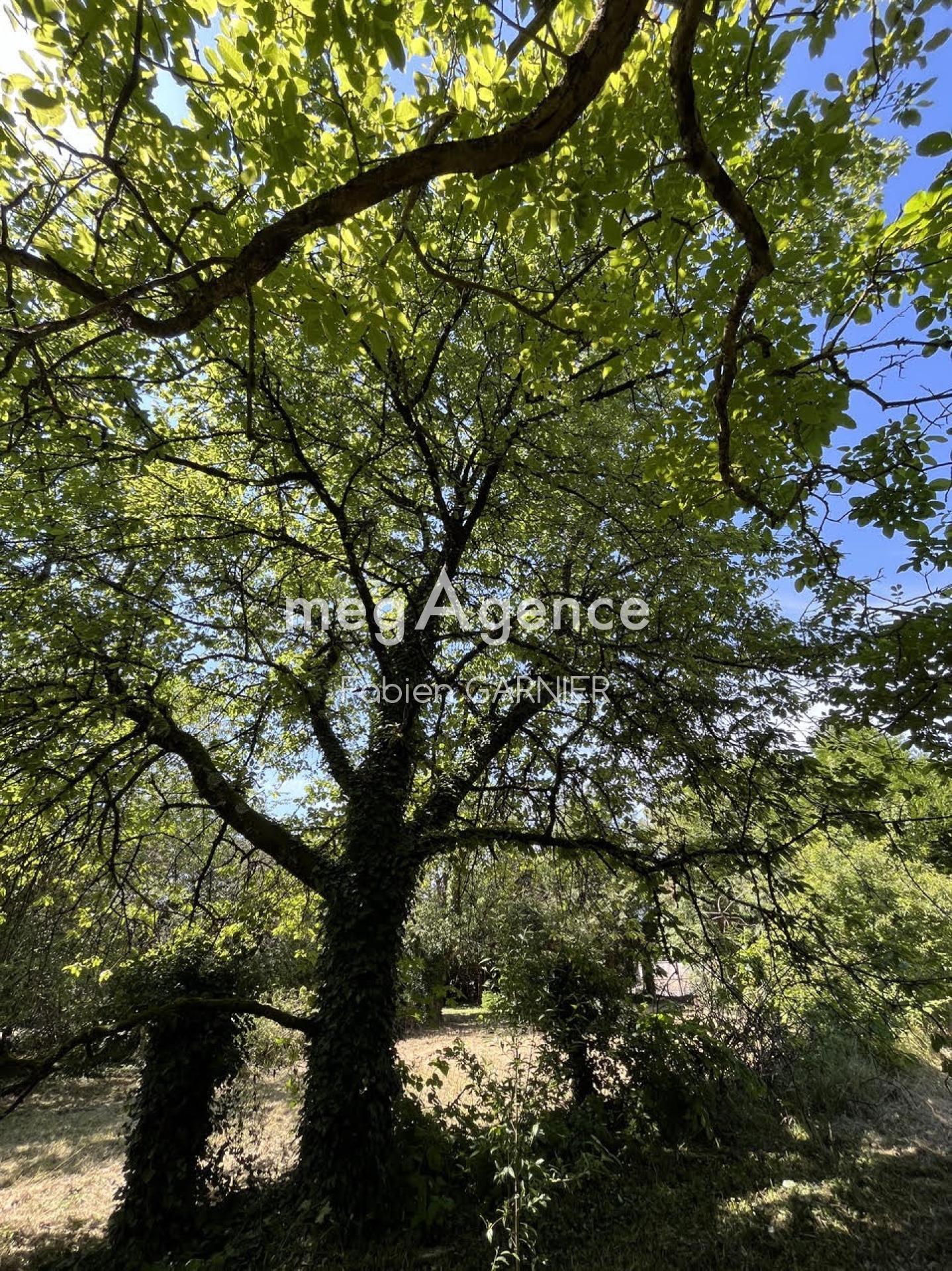 Miniature photo - 7 / 8