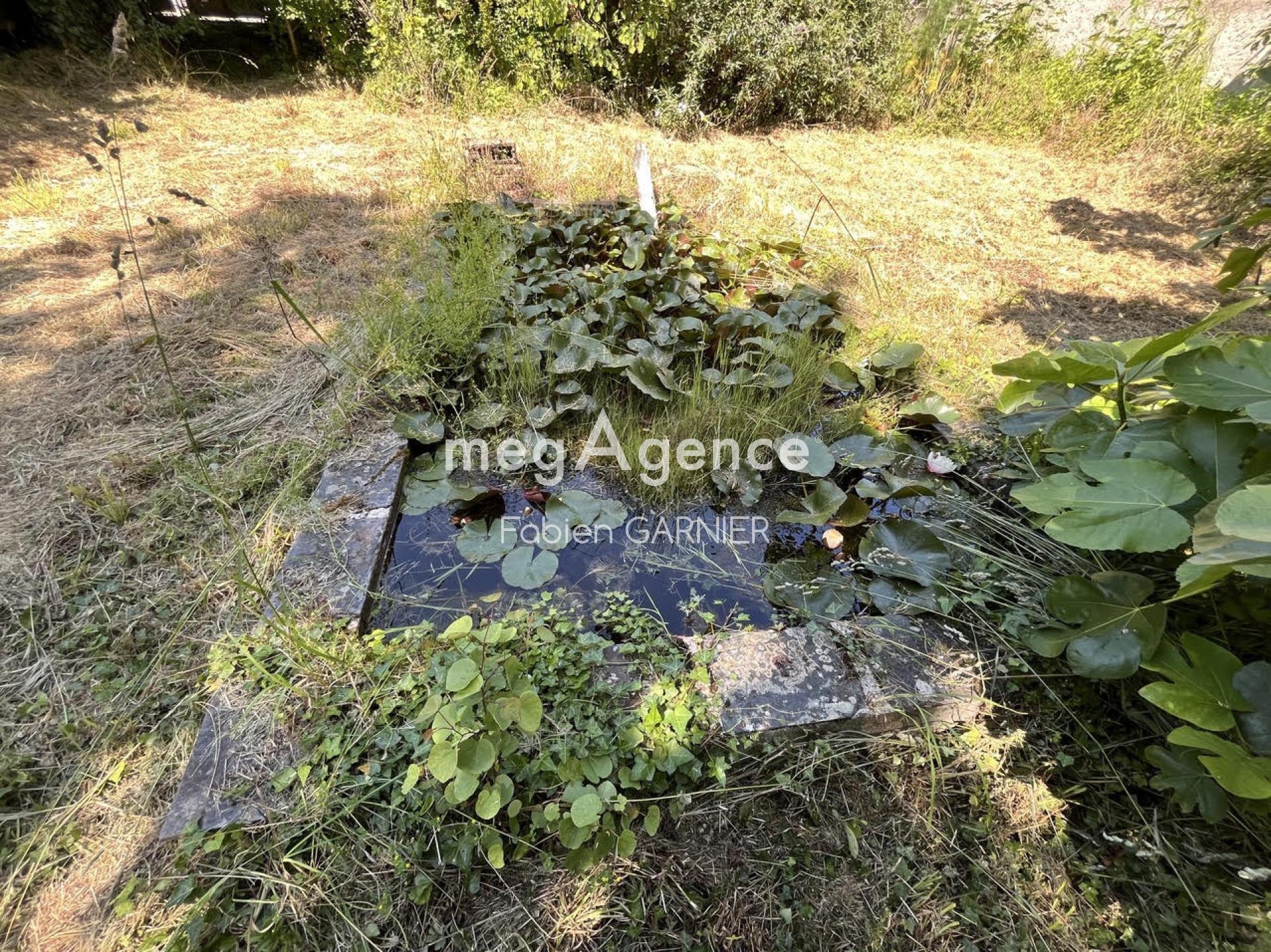 Miniature photo - 4 / 8