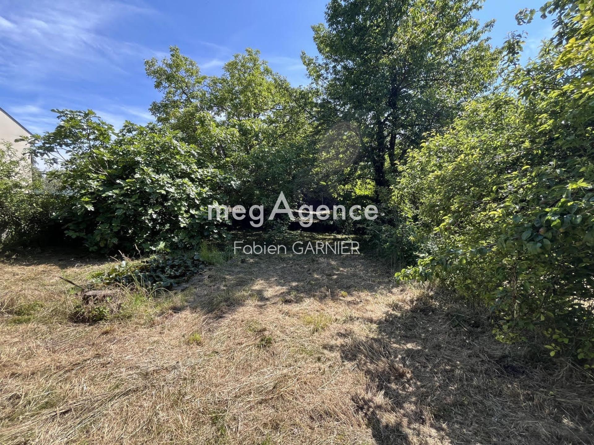 Miniature photo - 3 / 8