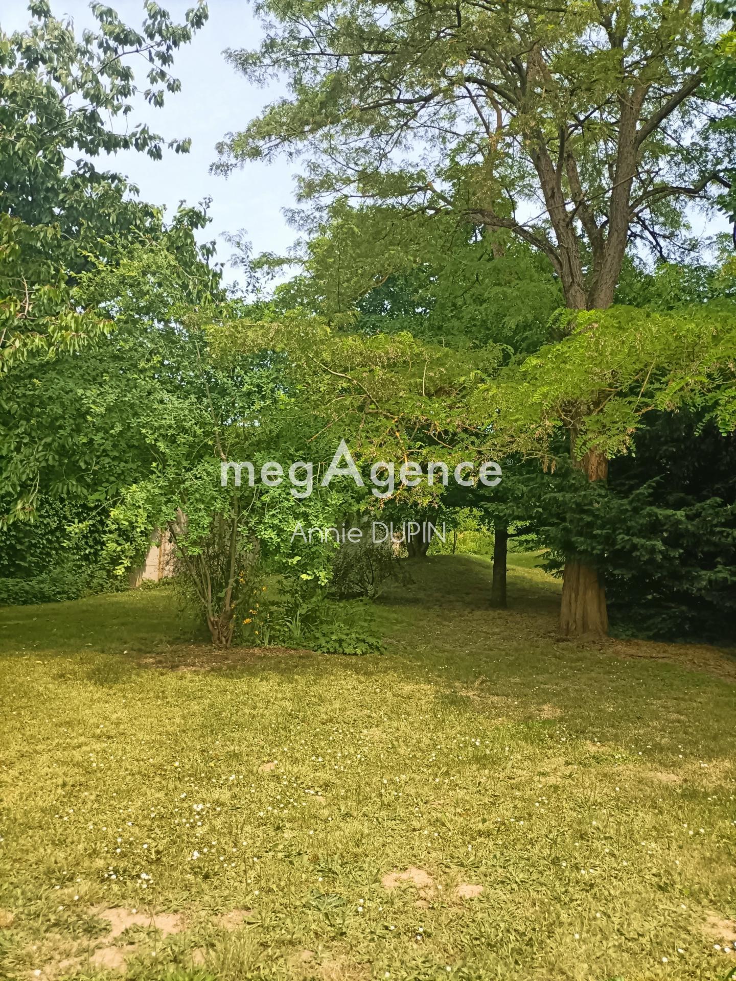 Miniature photo - 5 / 17