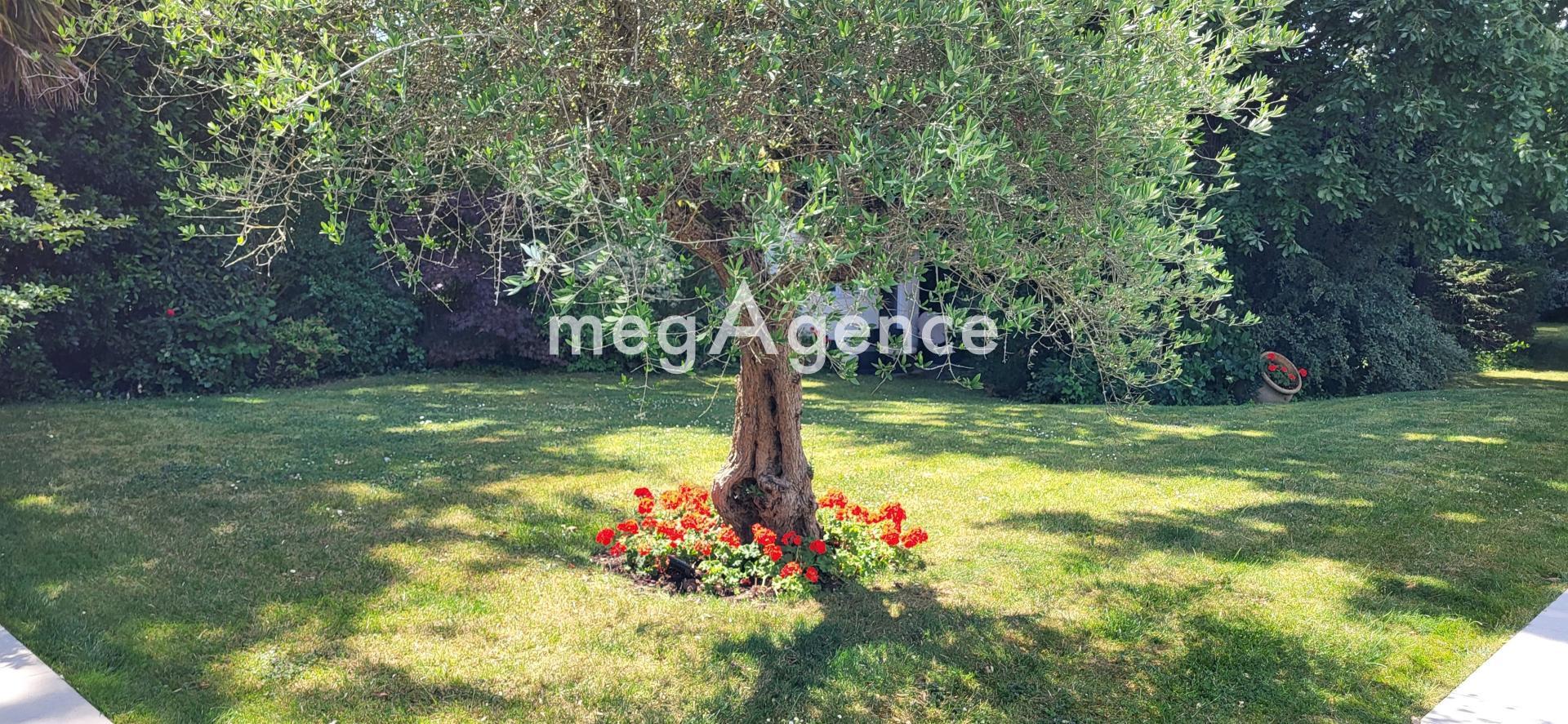 Miniature photo - 9 / 18