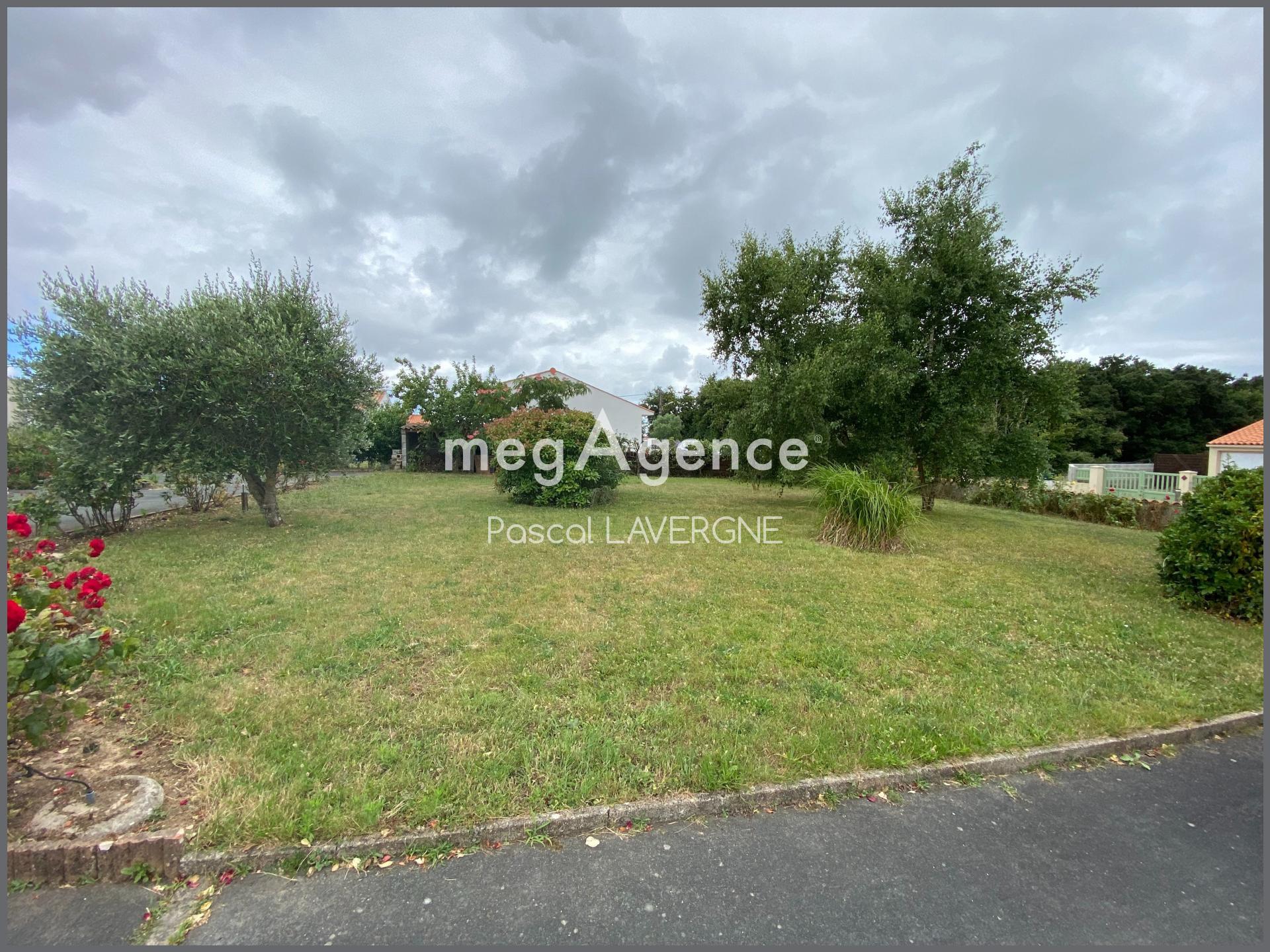 Miniature photo - 6 / 7