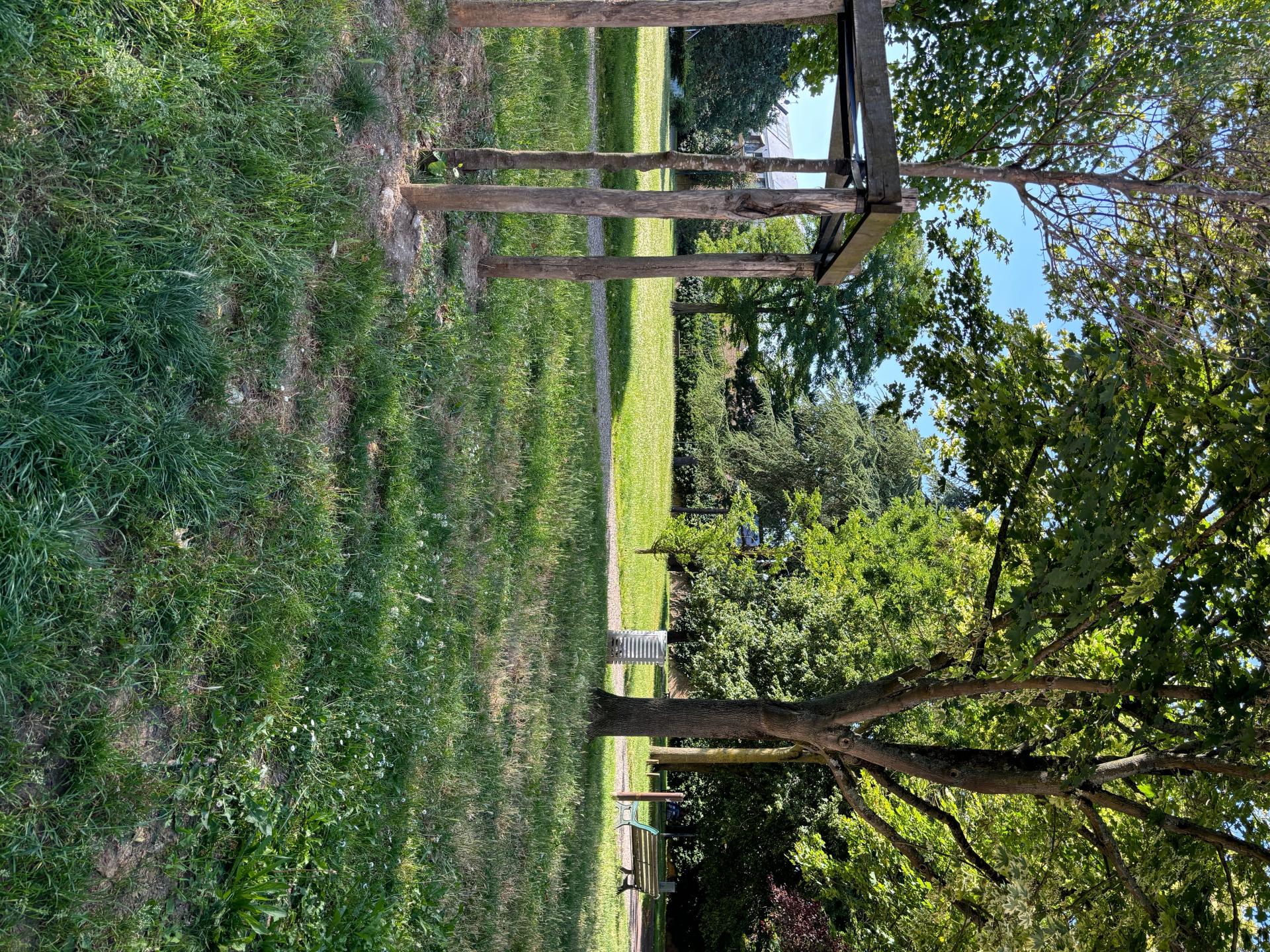 Miniature photo - 12 / 12