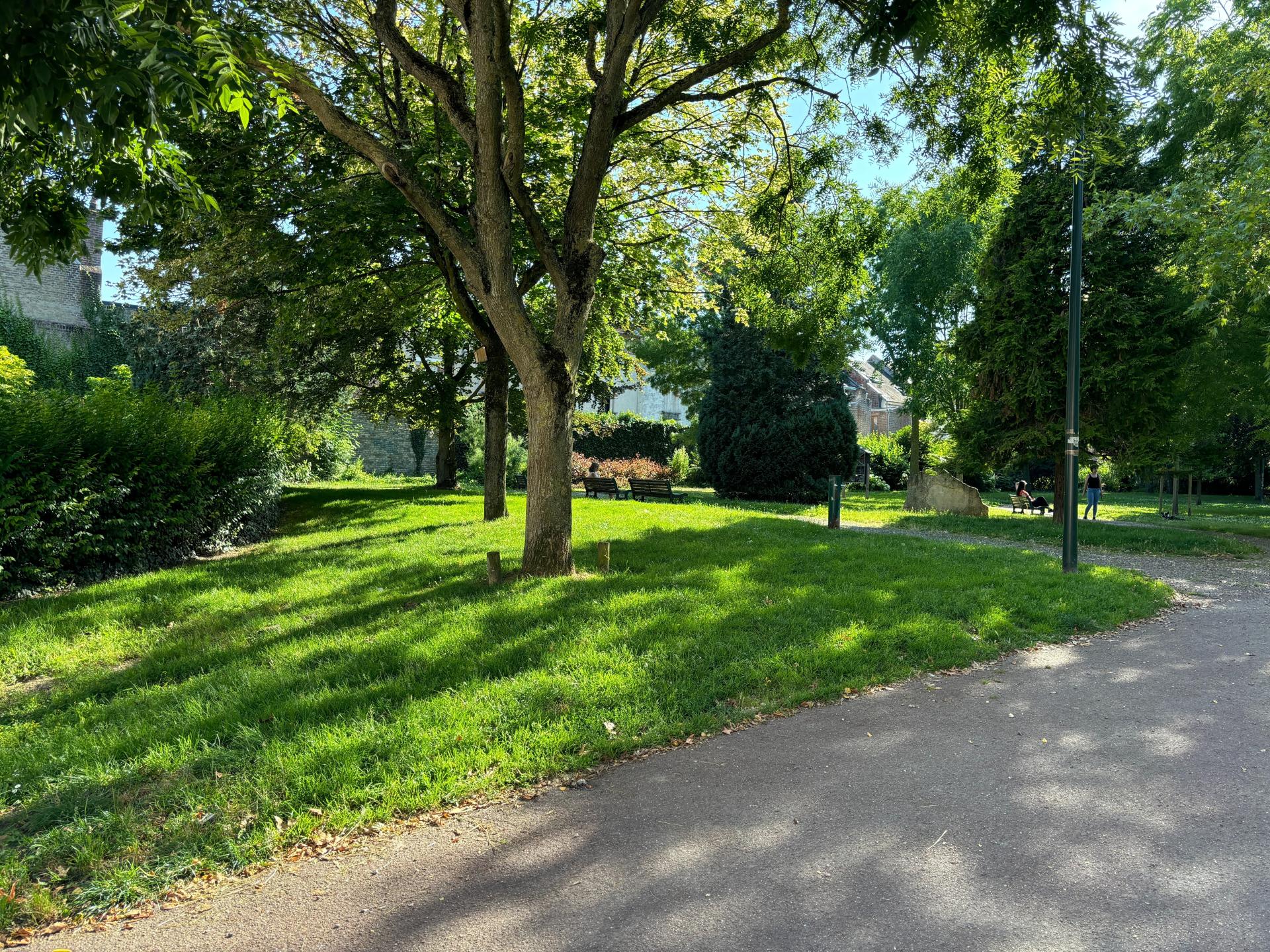 Miniature photo - 11 / 12