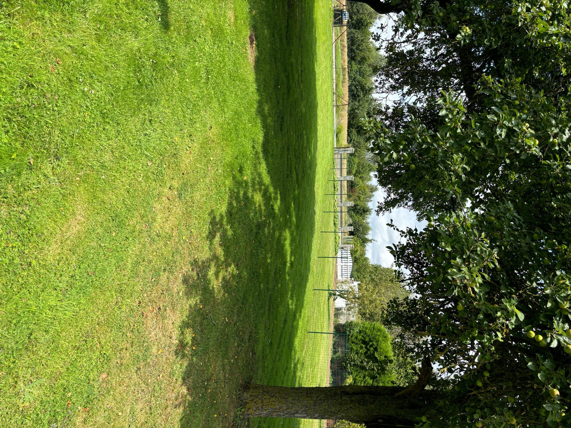 Miniature photo - 6 / 6