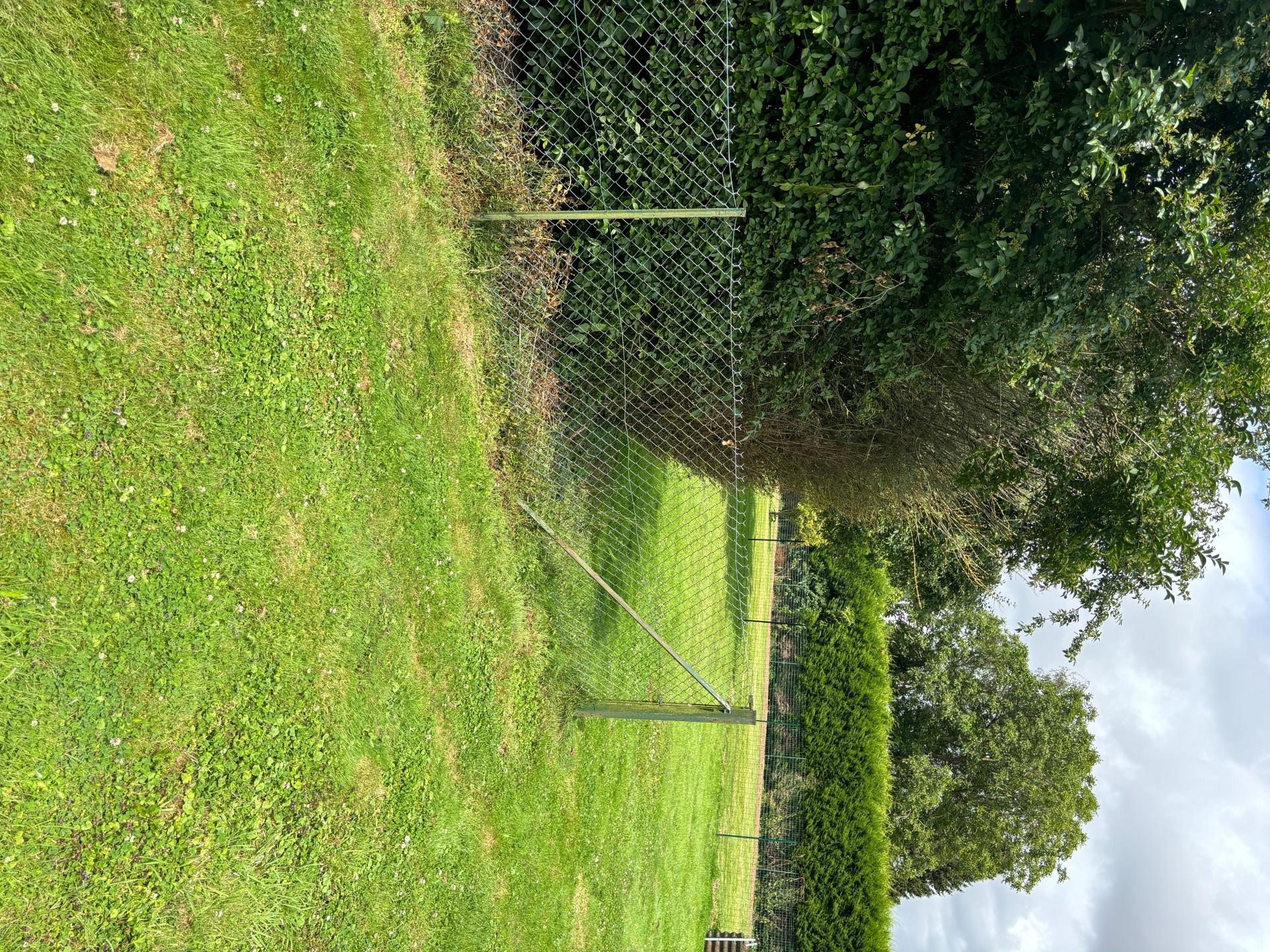 Miniature photo - 4 / 6