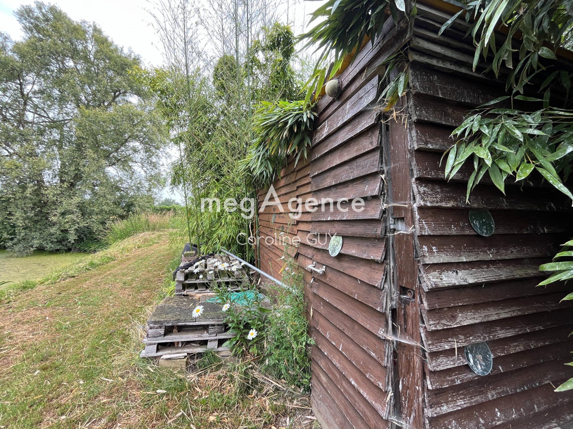 Miniature photo - 4 / 5