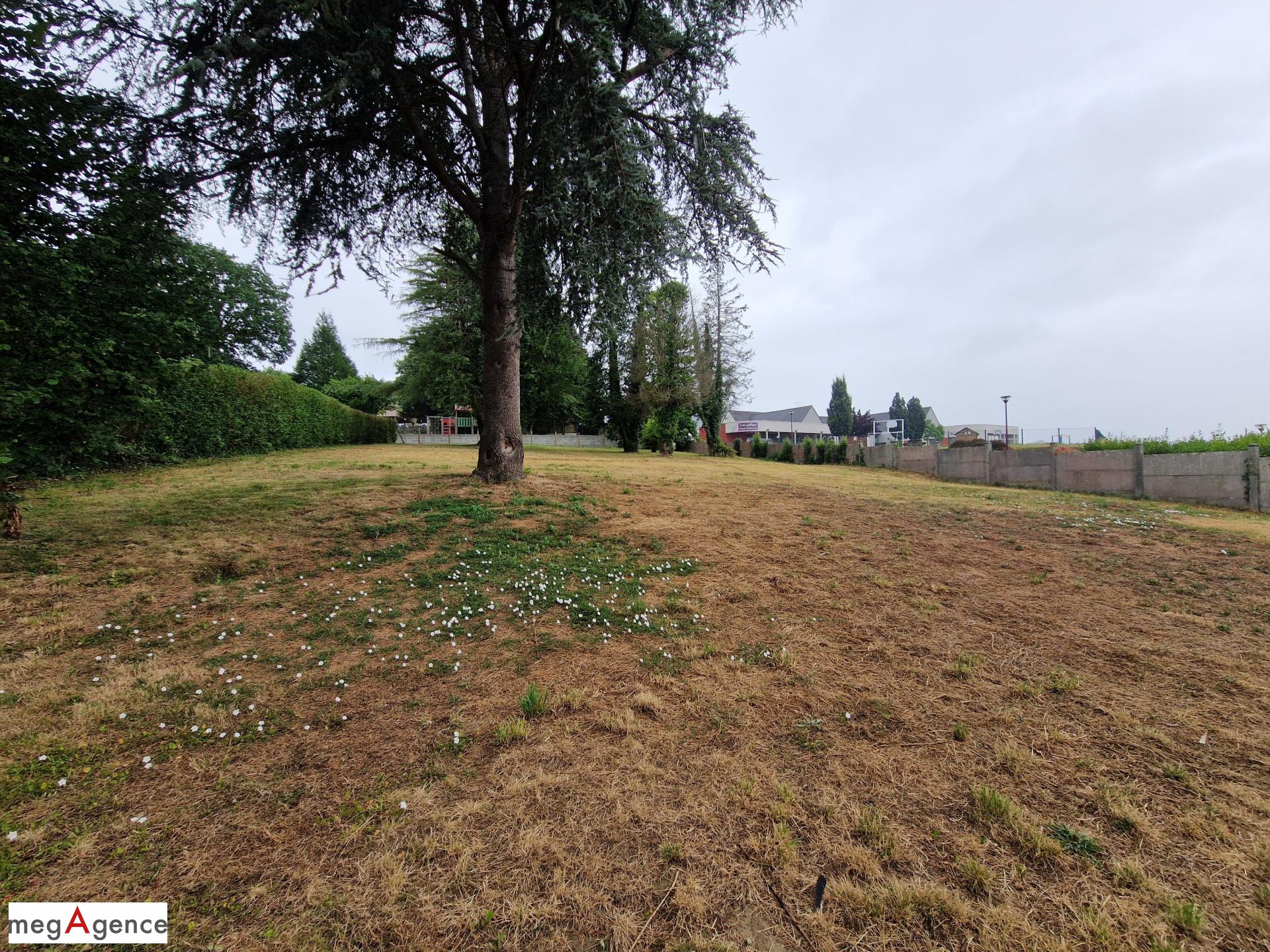 Miniature photo - 11 / 11