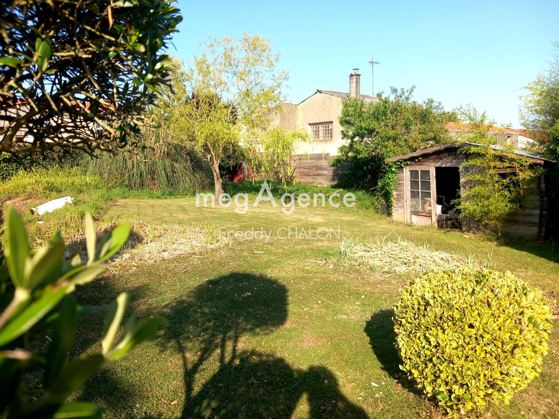 Miniature photo - 6 / 6