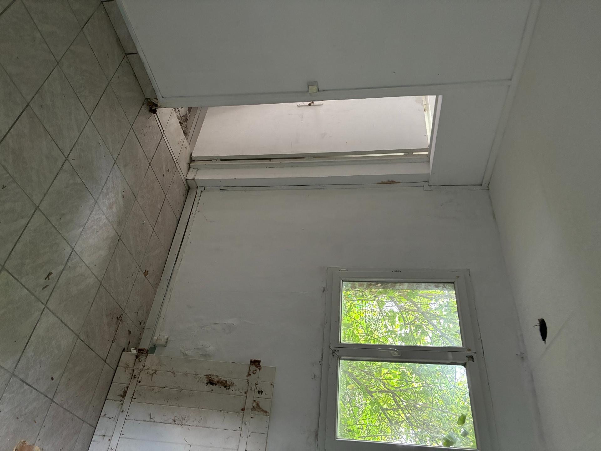 Miniature photo - 11 / 14