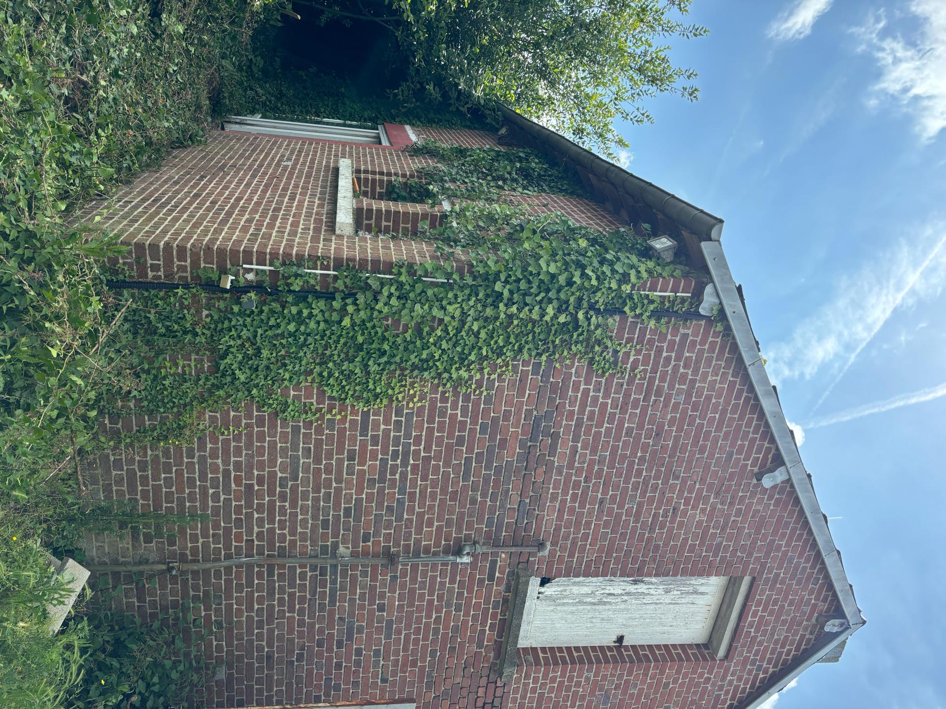 Miniature photo - 4 / 14