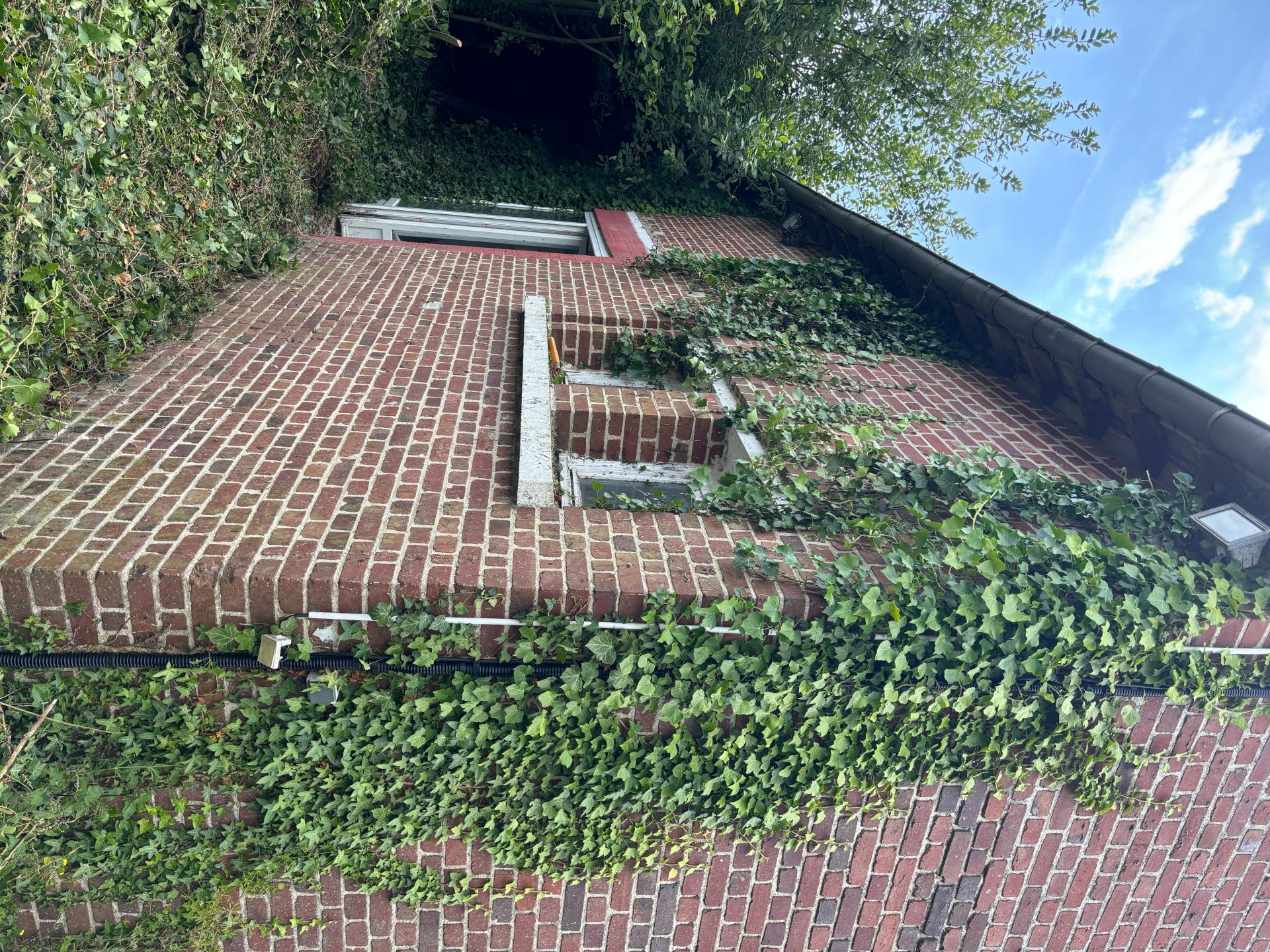 Miniature photo - 14 / 14