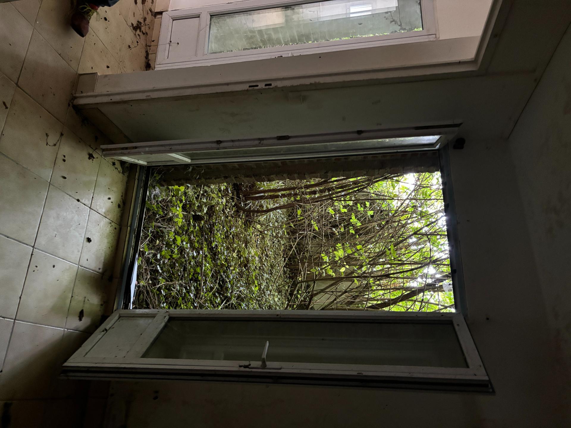 Miniature photo - 9 / 14