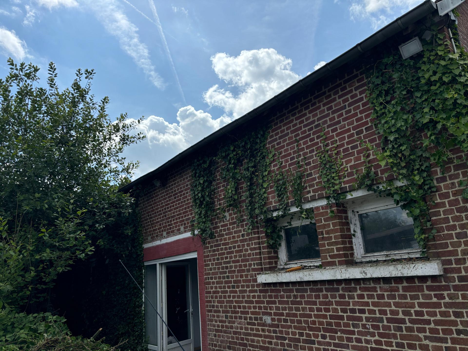 Miniature photo - 2 / 14