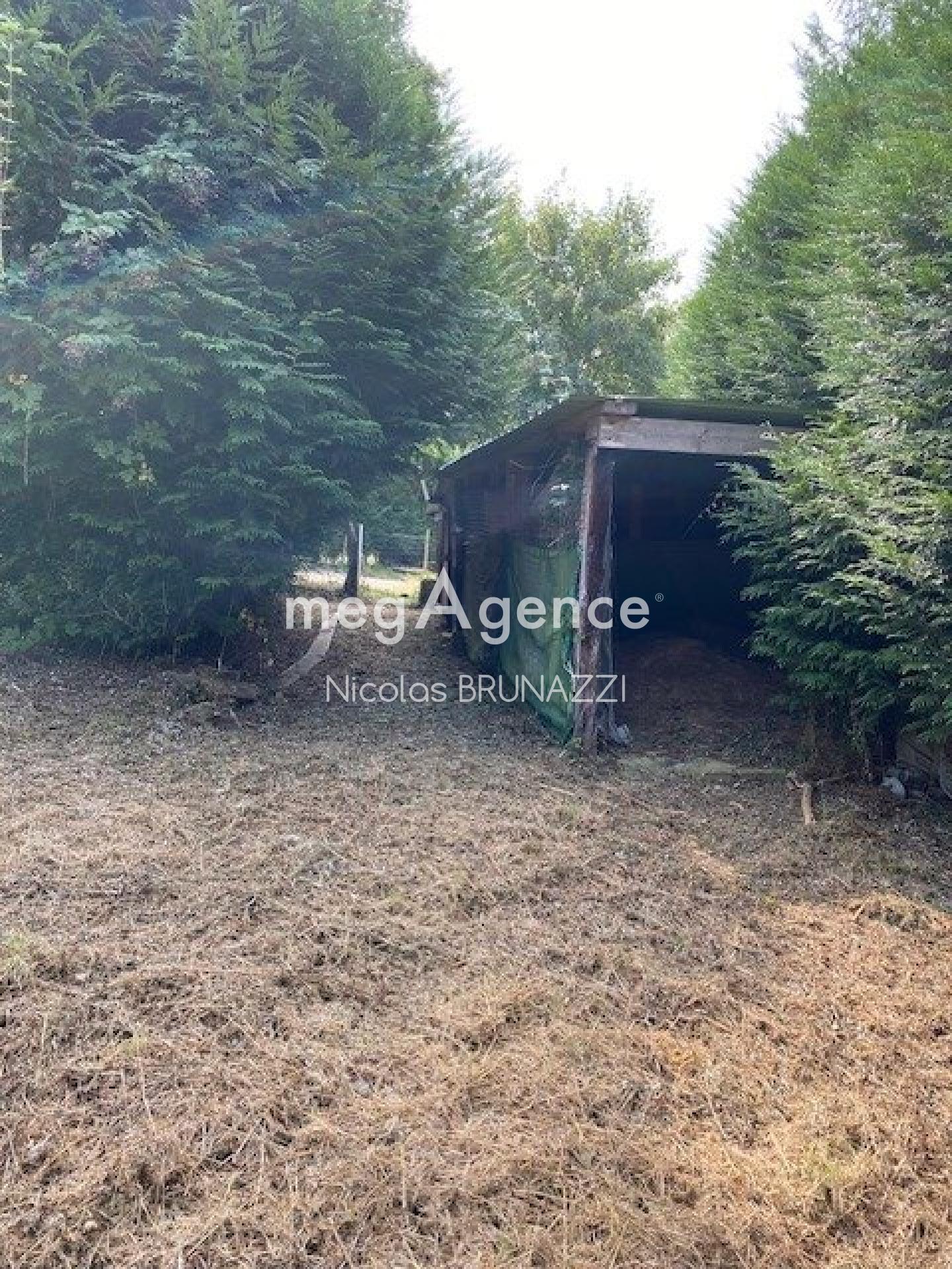 Miniature photo - 5 / 5