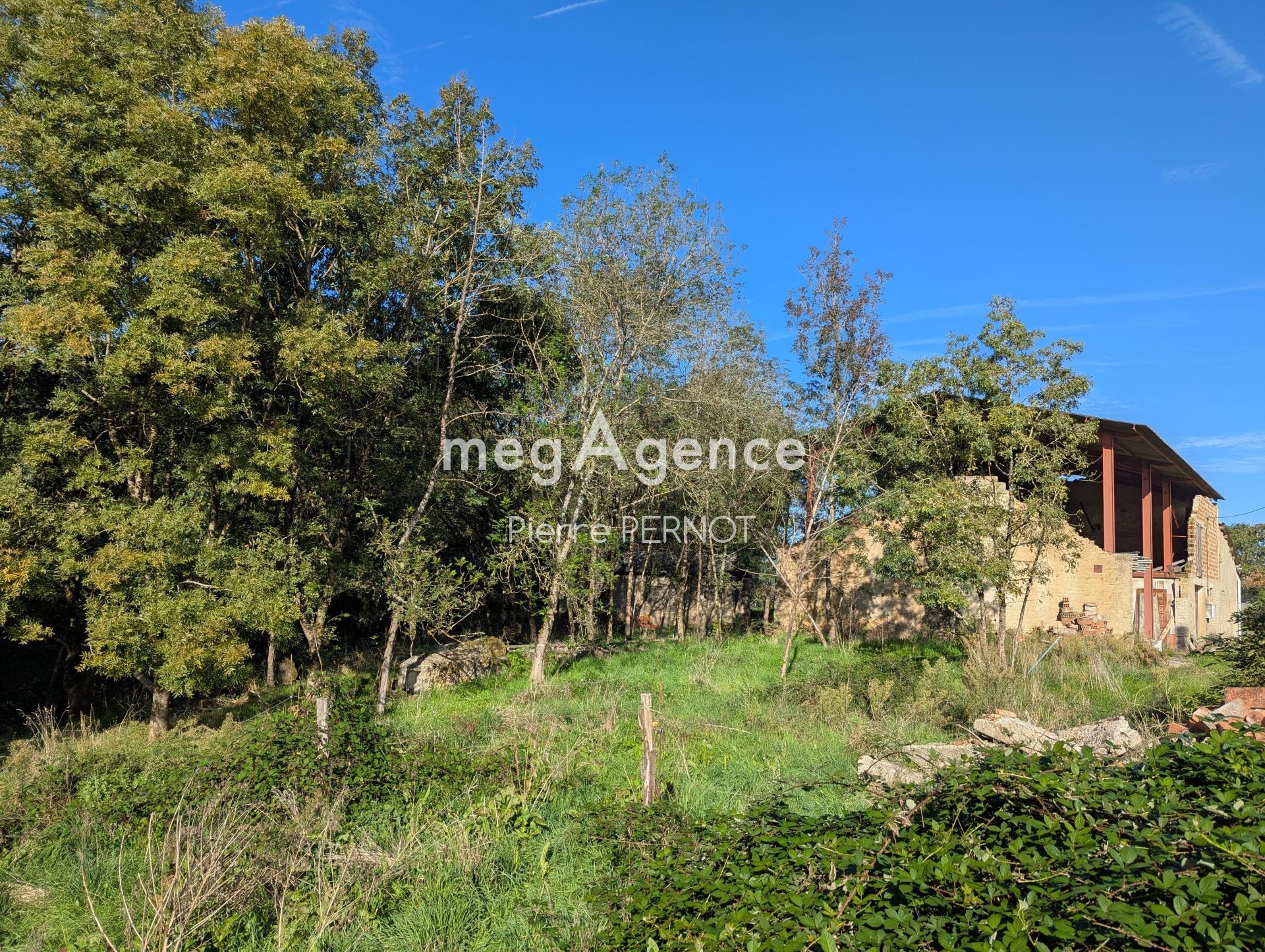 Miniature photo - 13 / 18