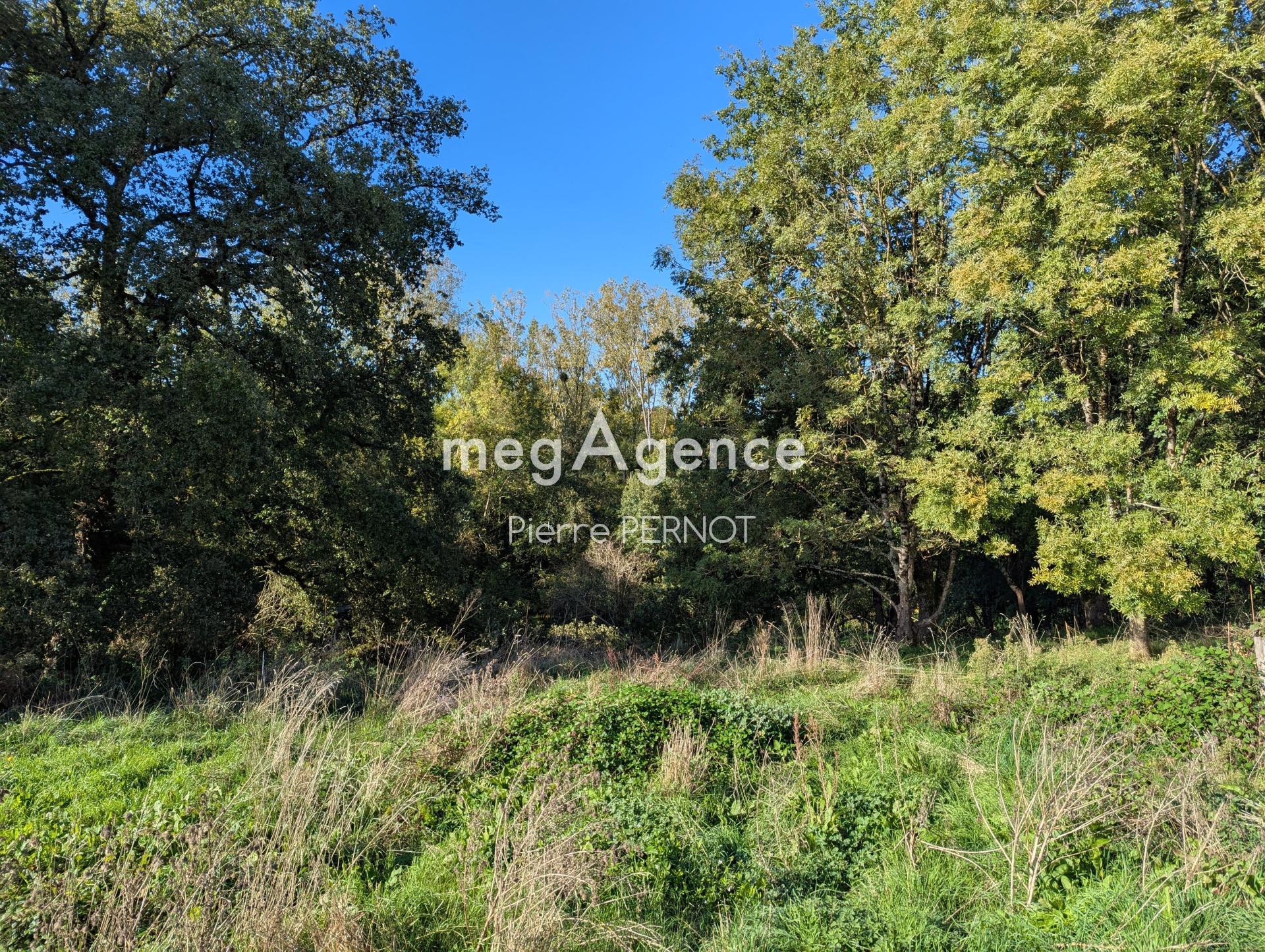 Miniature photo - 14 / 18