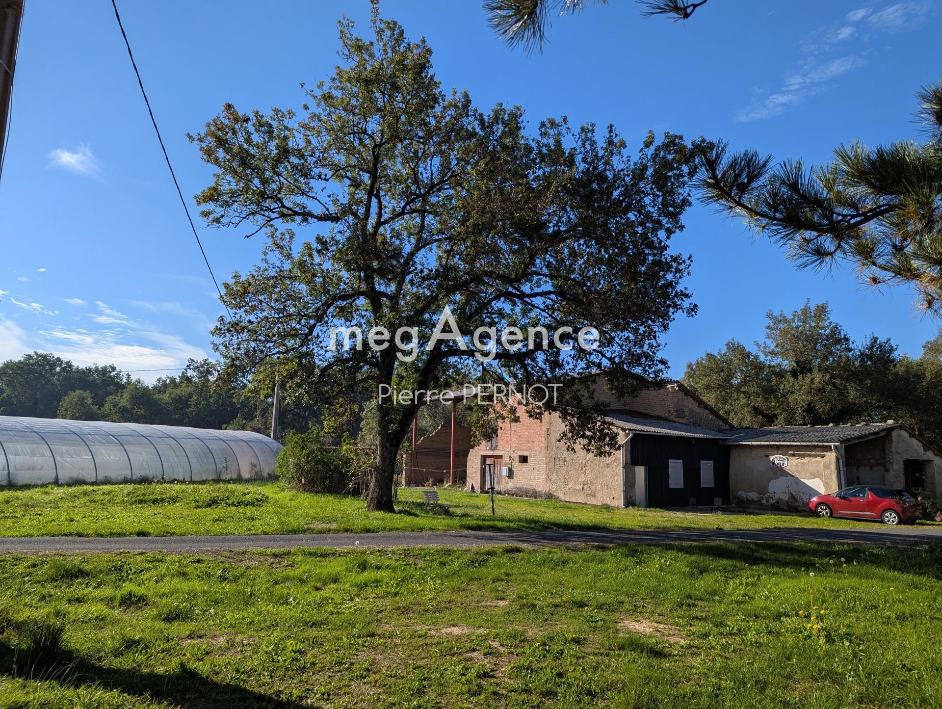 Miniature photo - 3 / 18