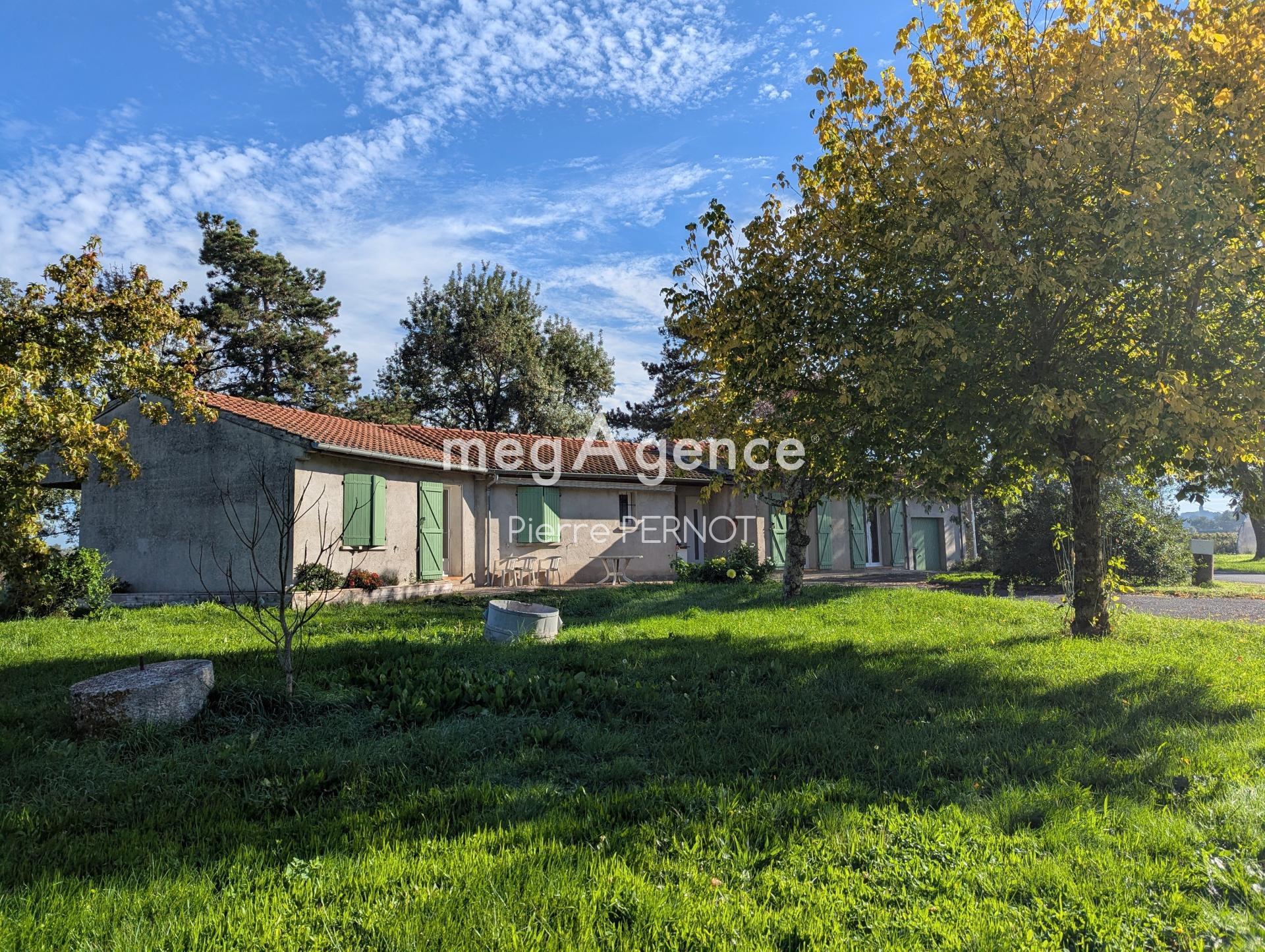 Miniature photo - 4 / 15