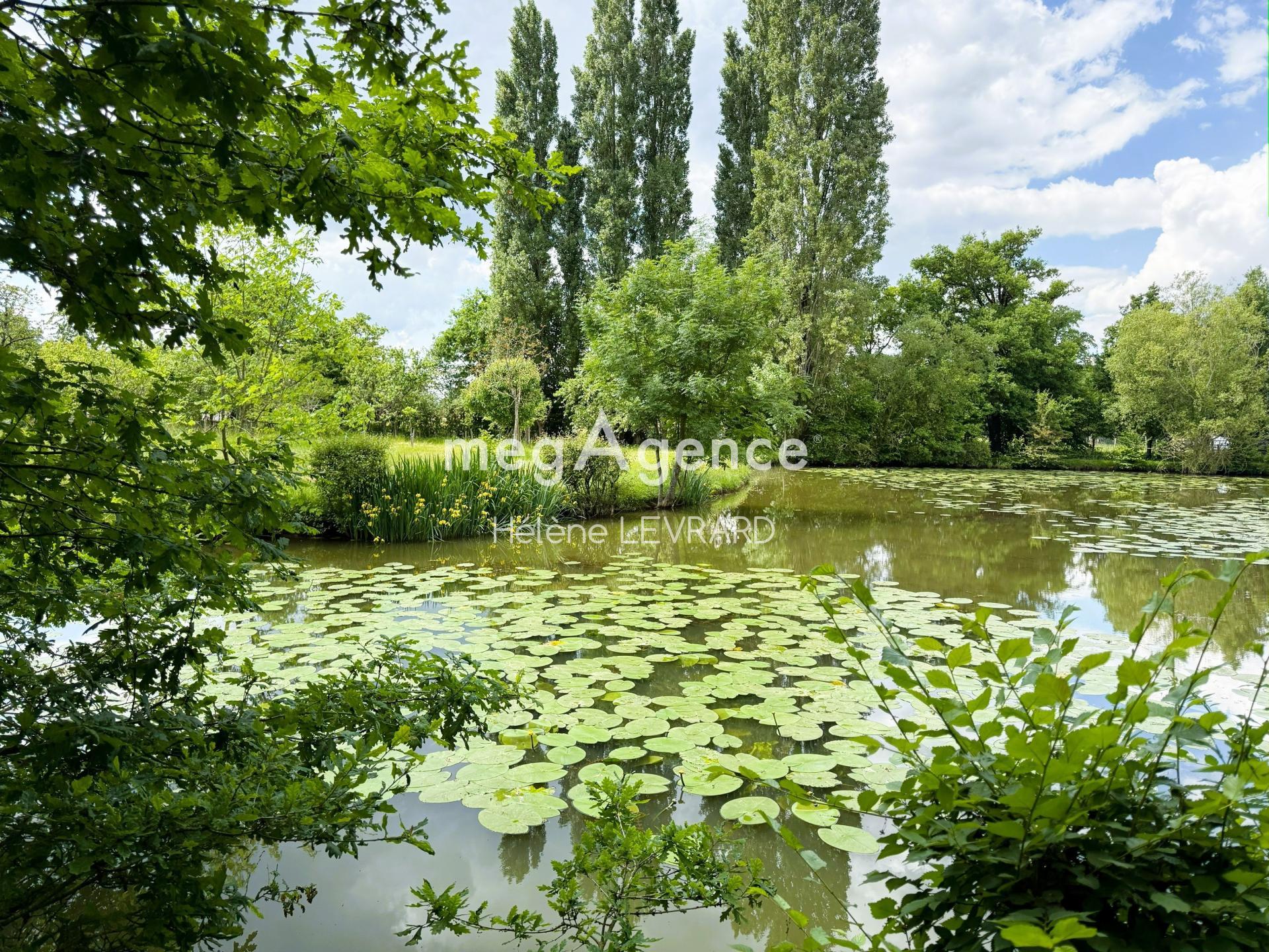 Miniature photo - 5 / 7