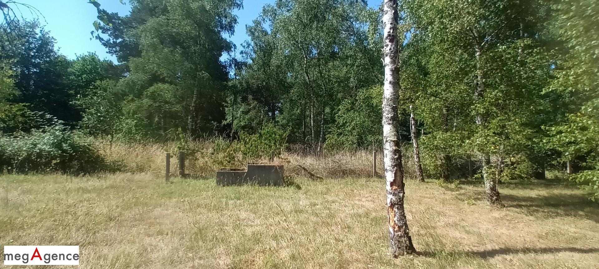 Miniature photo - 6 / 9