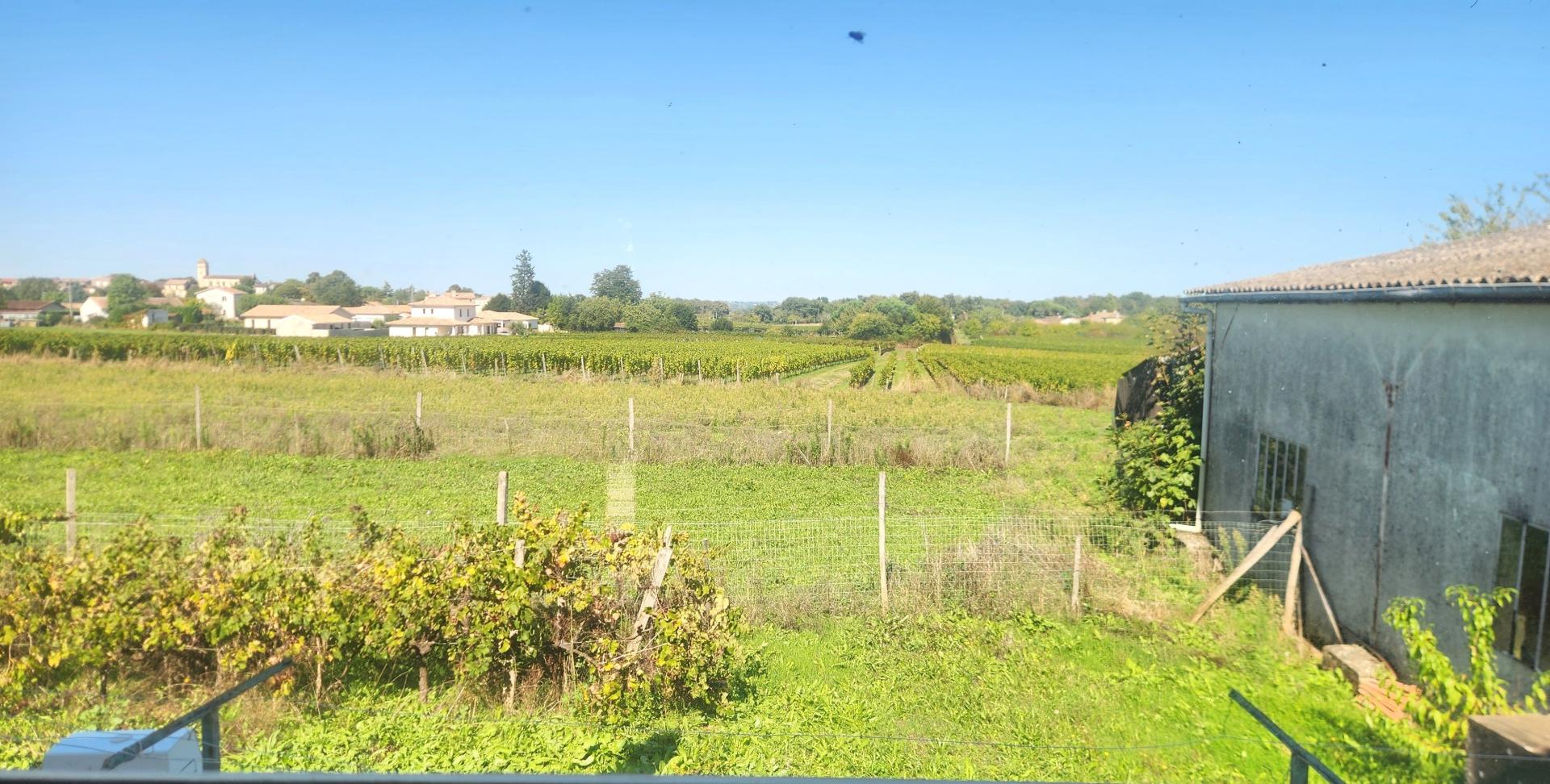 Miniature photo - 7 / 11