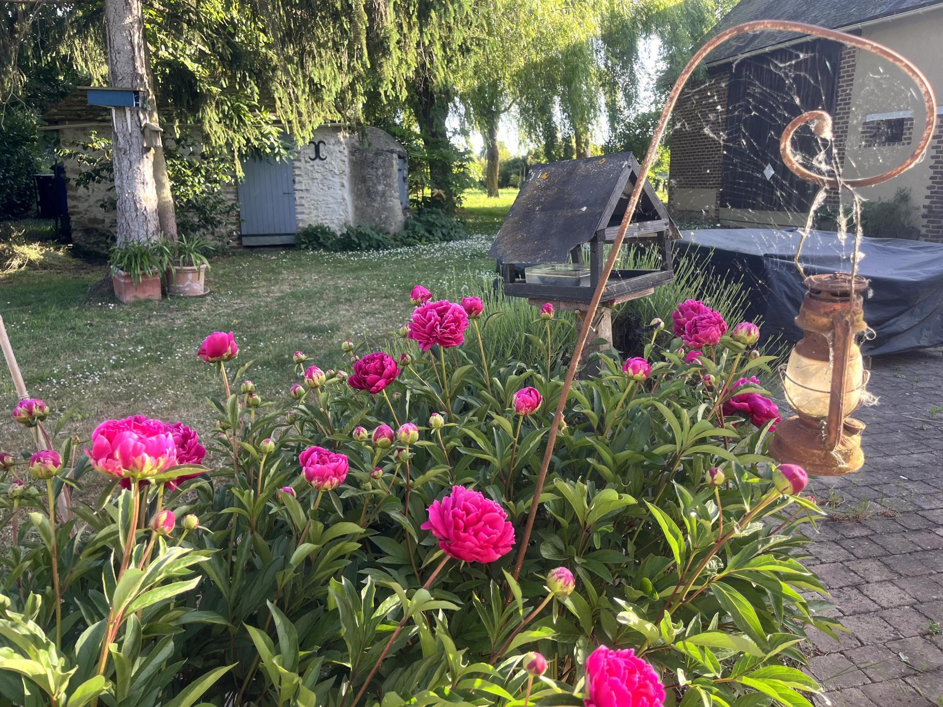 Miniature photo - 4 / 14
