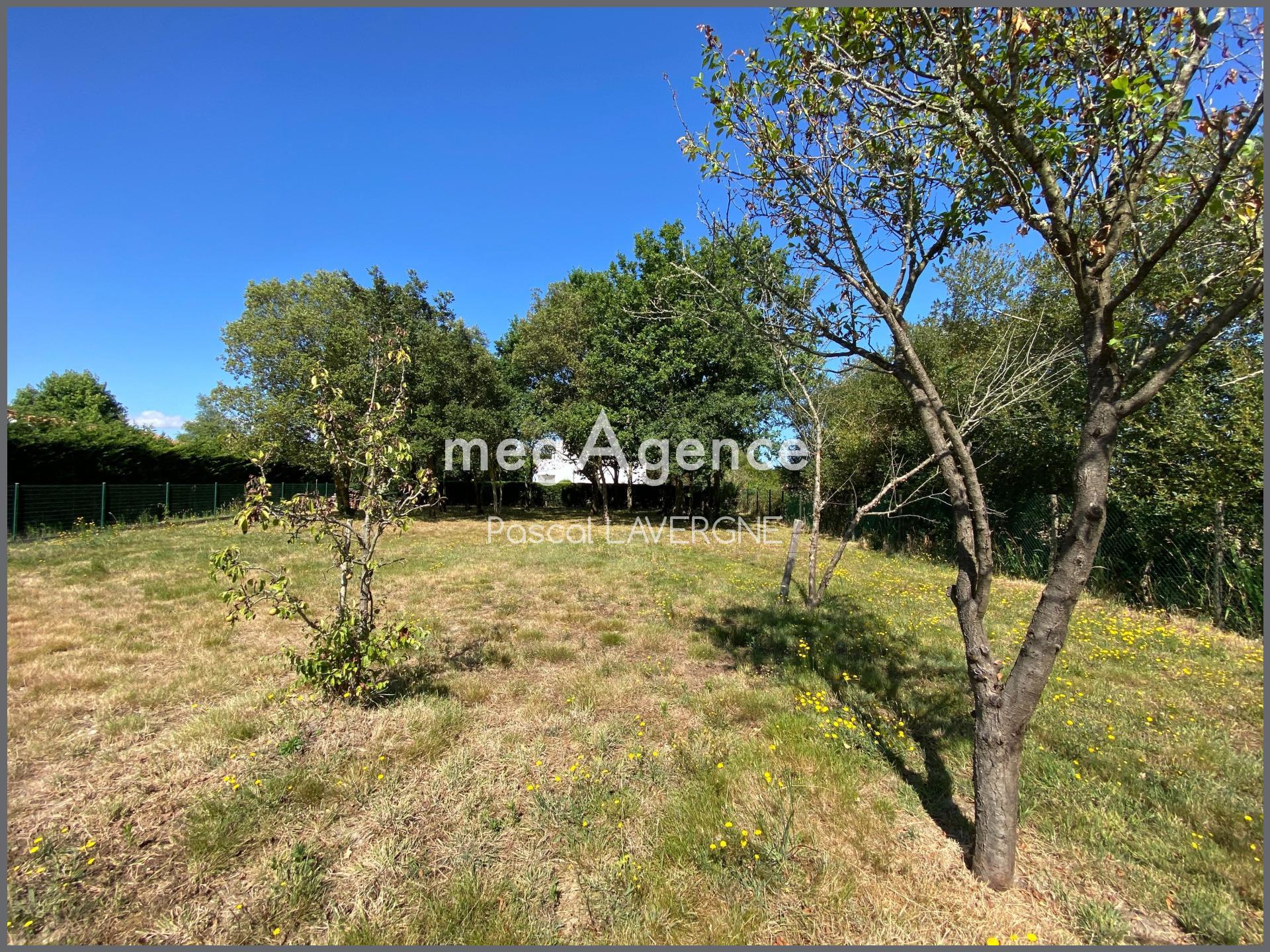 Miniature photo - 8 / 9