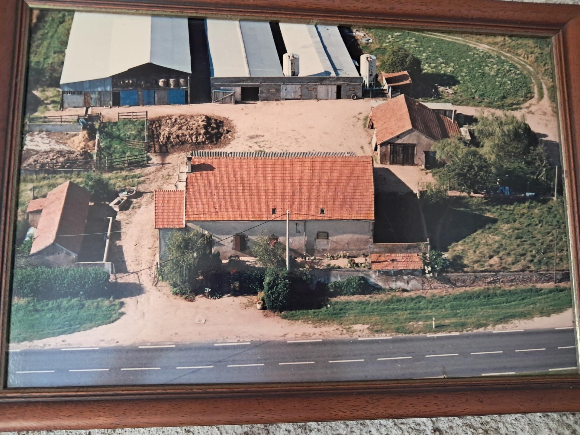 Miniature photo - 2 / 11