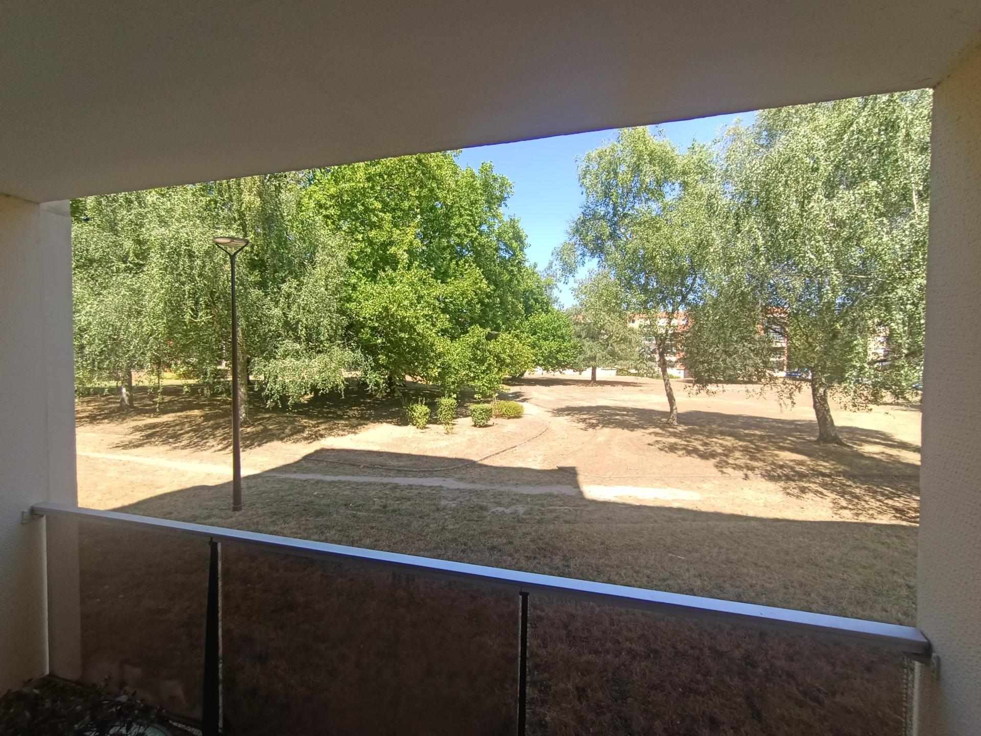 Miniature photo - 5 / 11