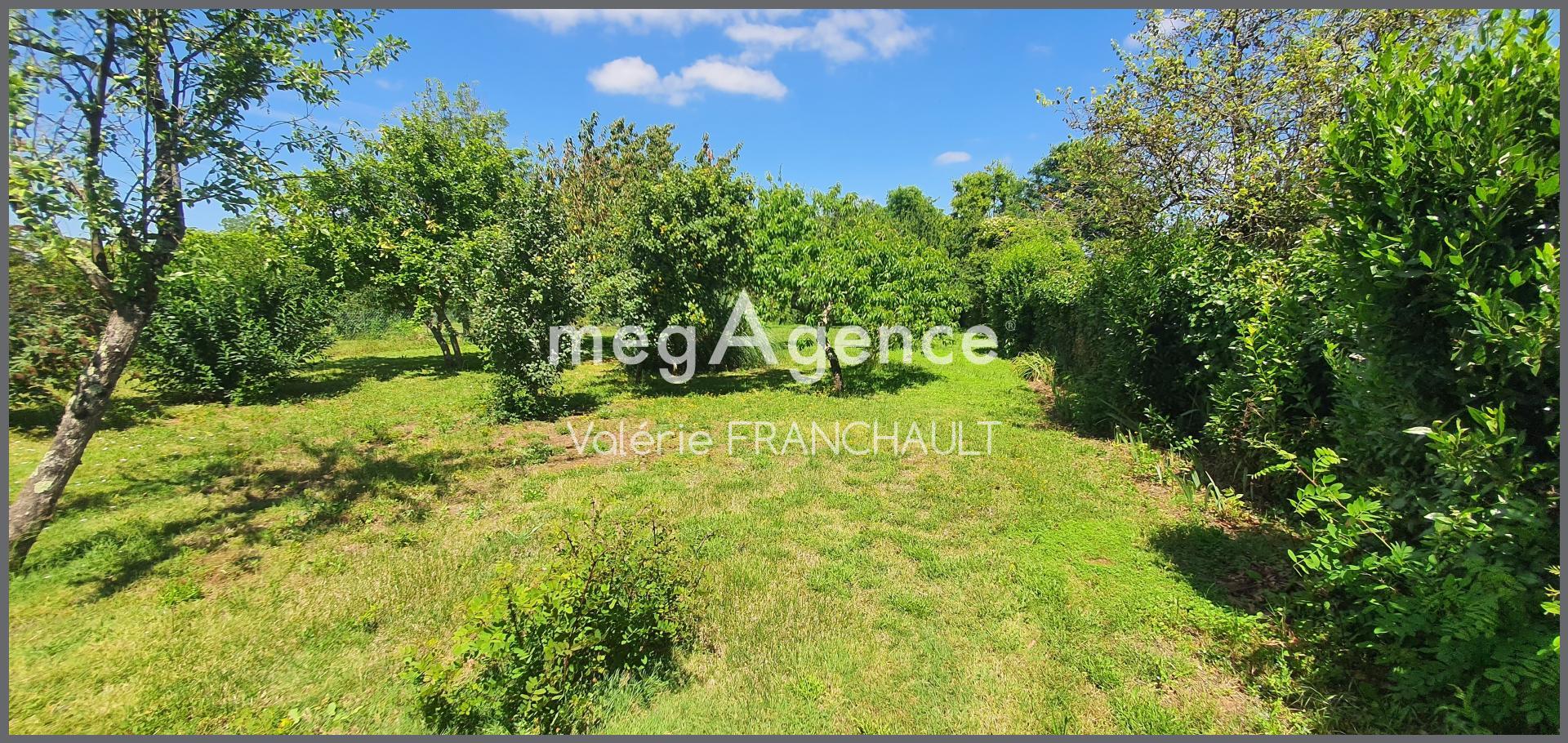 Miniature photo - 9 / 9