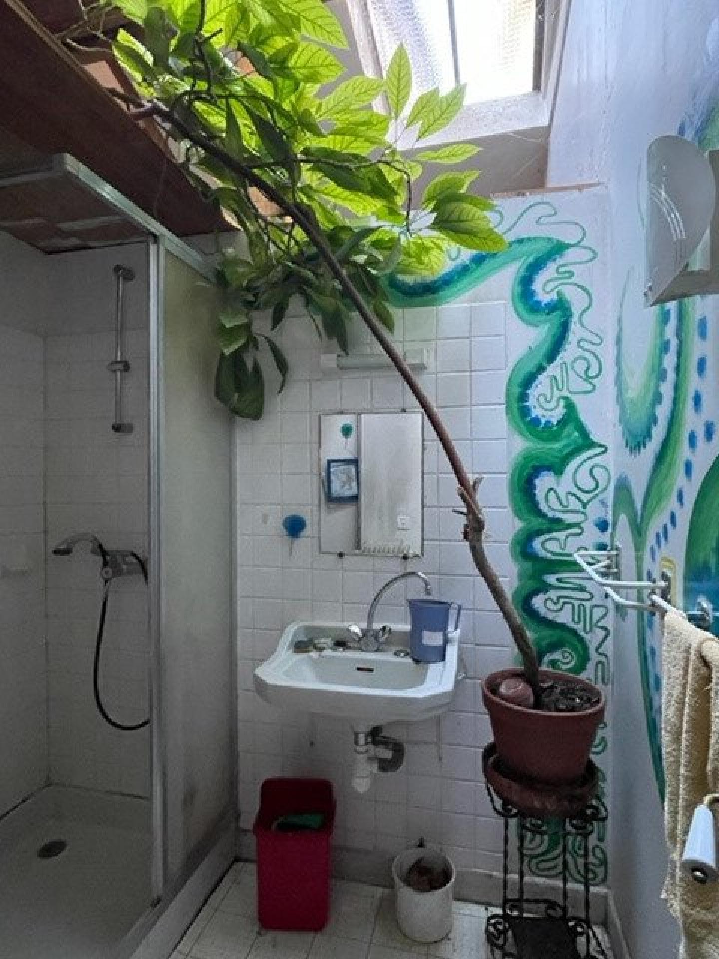 Miniature photo - 13 / 17