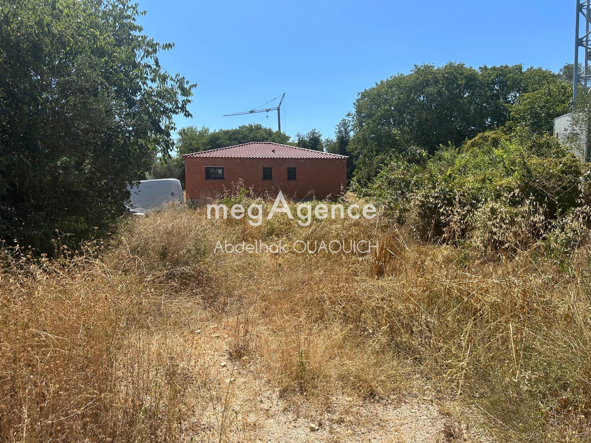 Miniature photo - 4 / 4