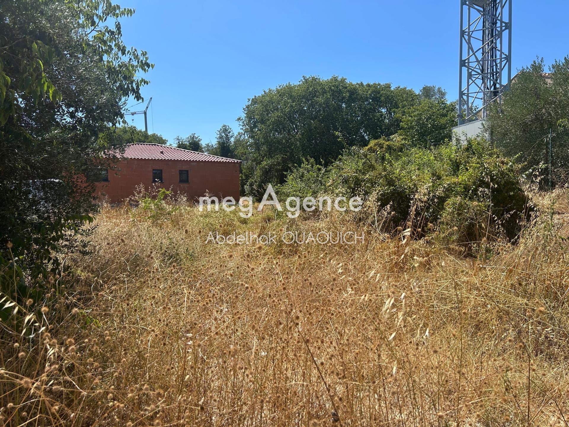 Miniature photo - 3 / 4