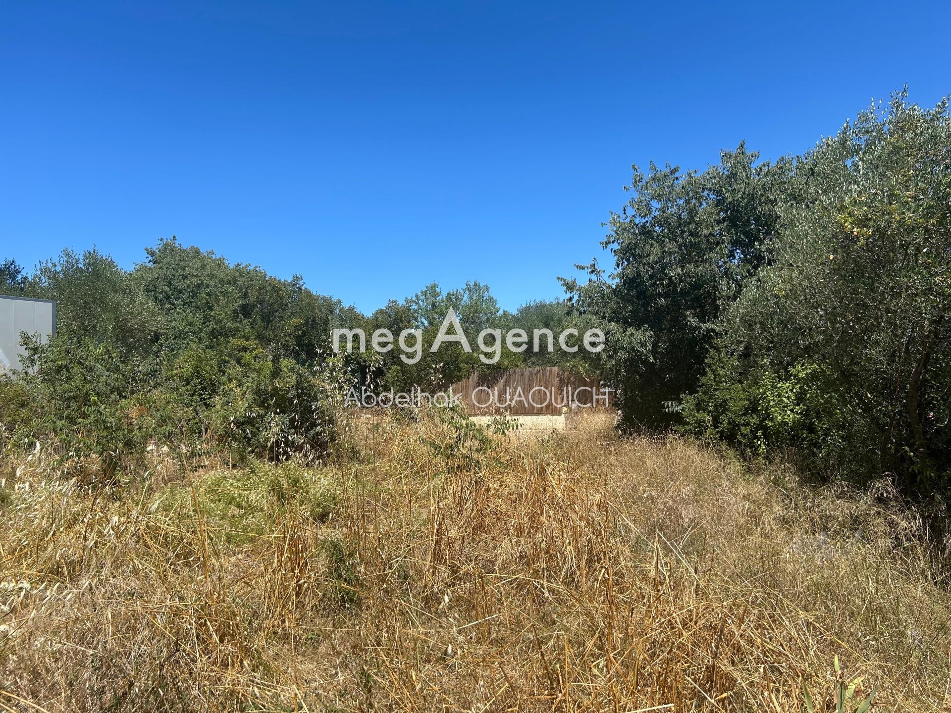 Miniature photo - 2 / 4