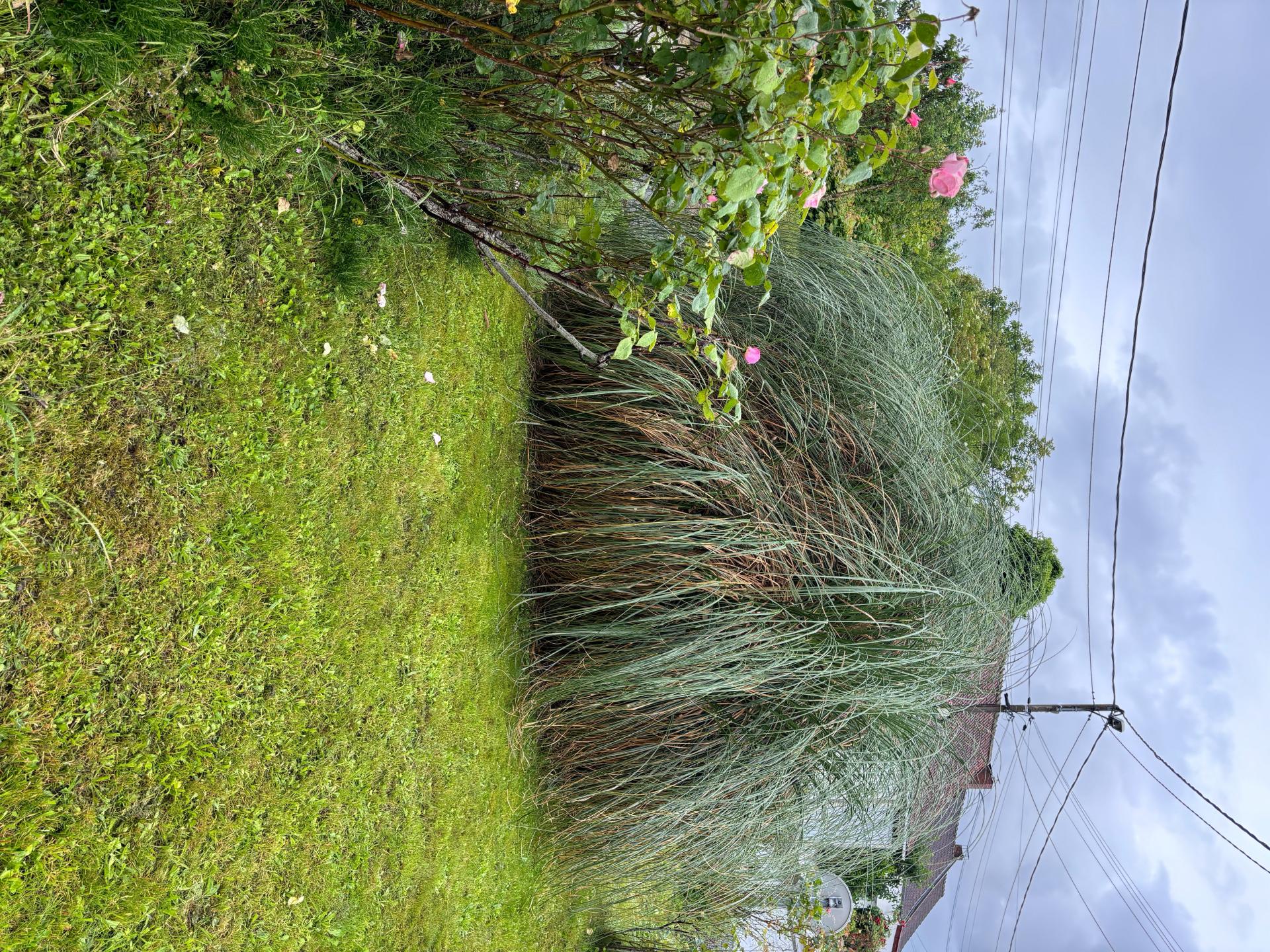 Miniature photo - 14 / 14