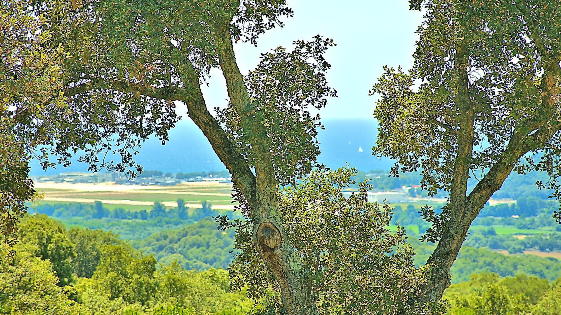 Miniature photo - 20 / 20