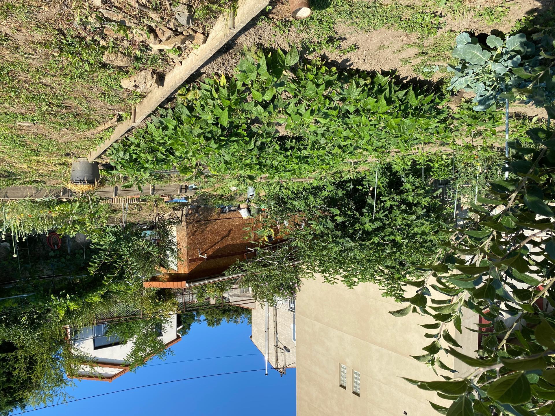 Miniature photo - 13 / 13