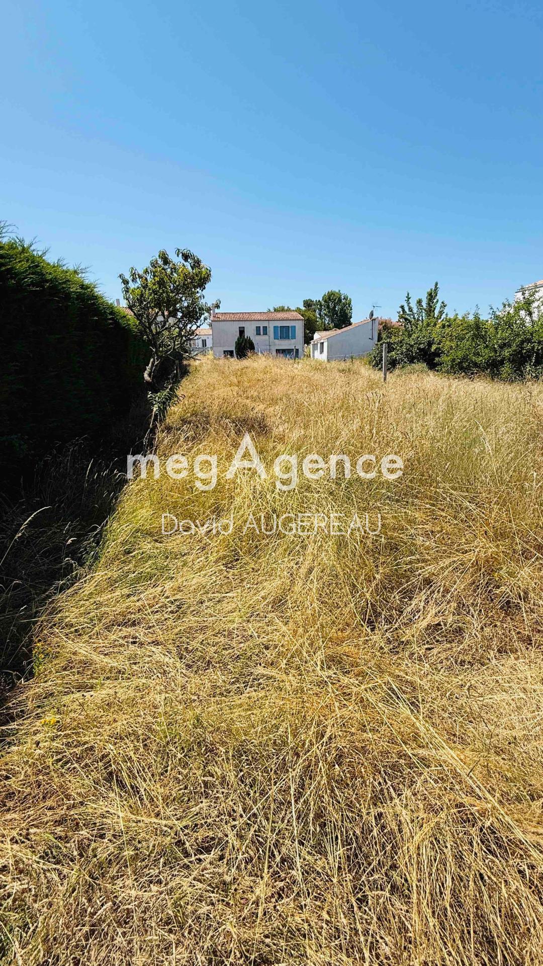 Miniature photo - 2 / 8