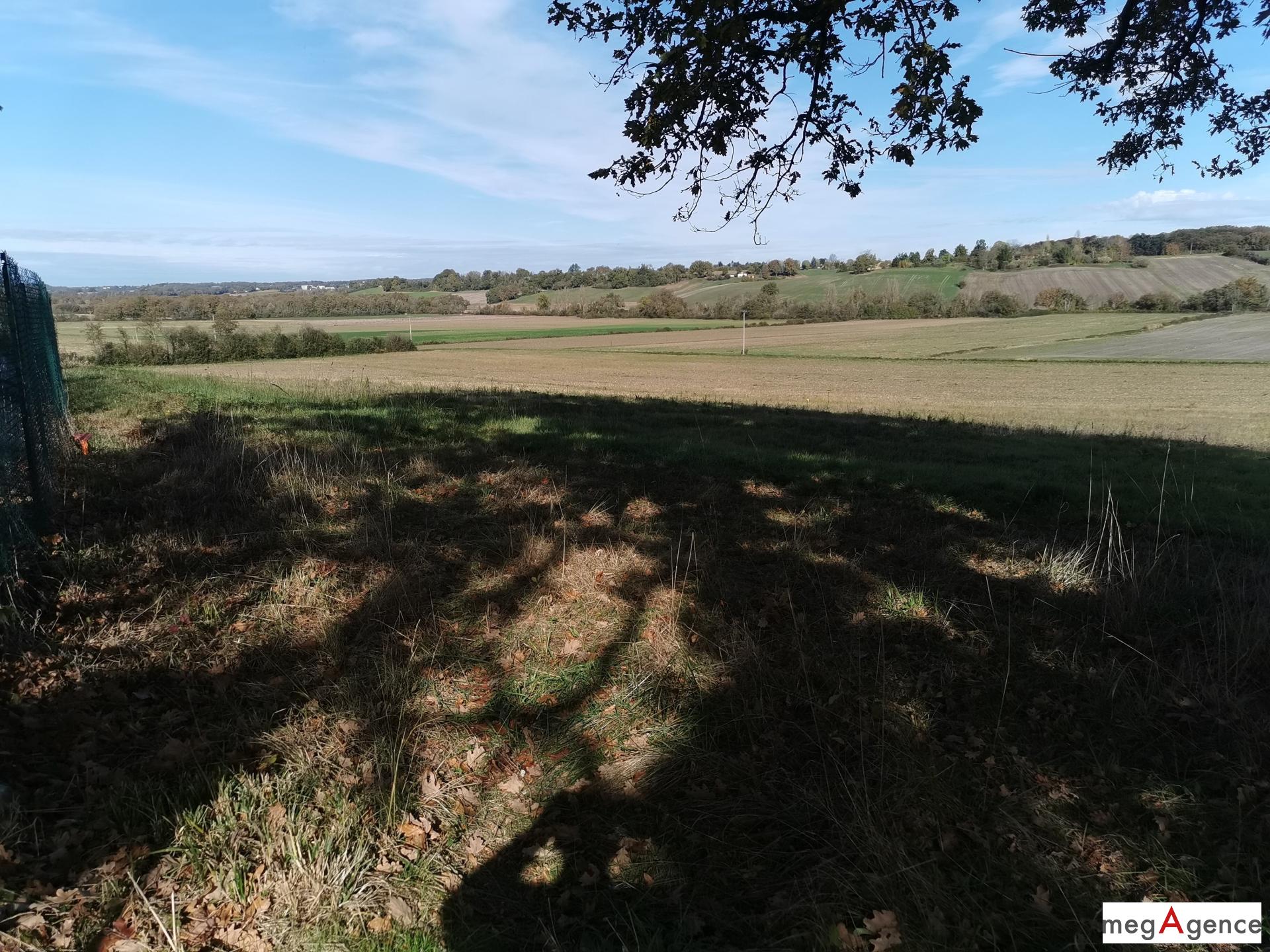 Miniature photo - 4 / 11